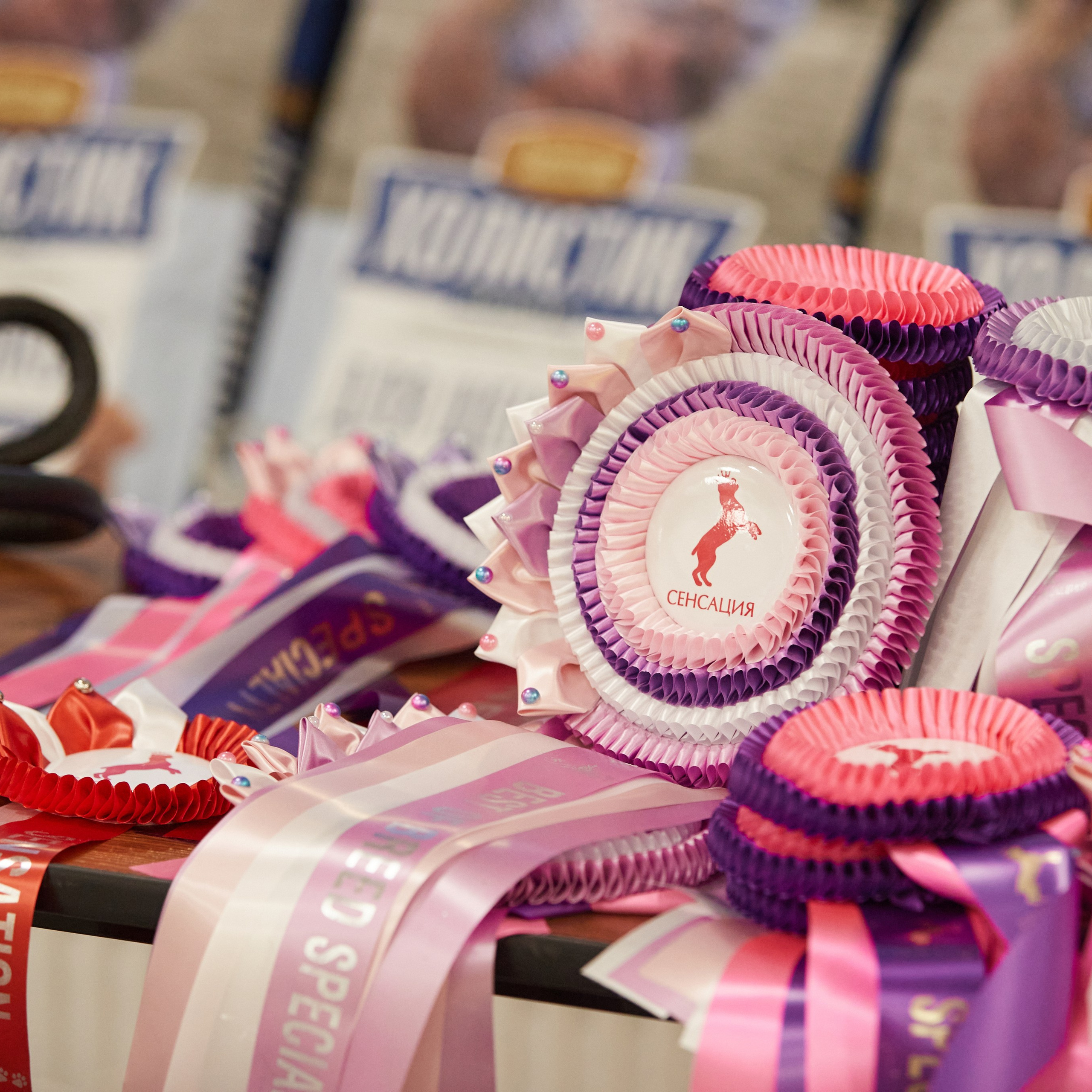 10-11.02.2024 ВЫСТАВКА СОБАК ВСЕХ ПОРОД (САС, ЧФ). Кинологический клуб РКФ РФСС СЕНСАЦИЯ