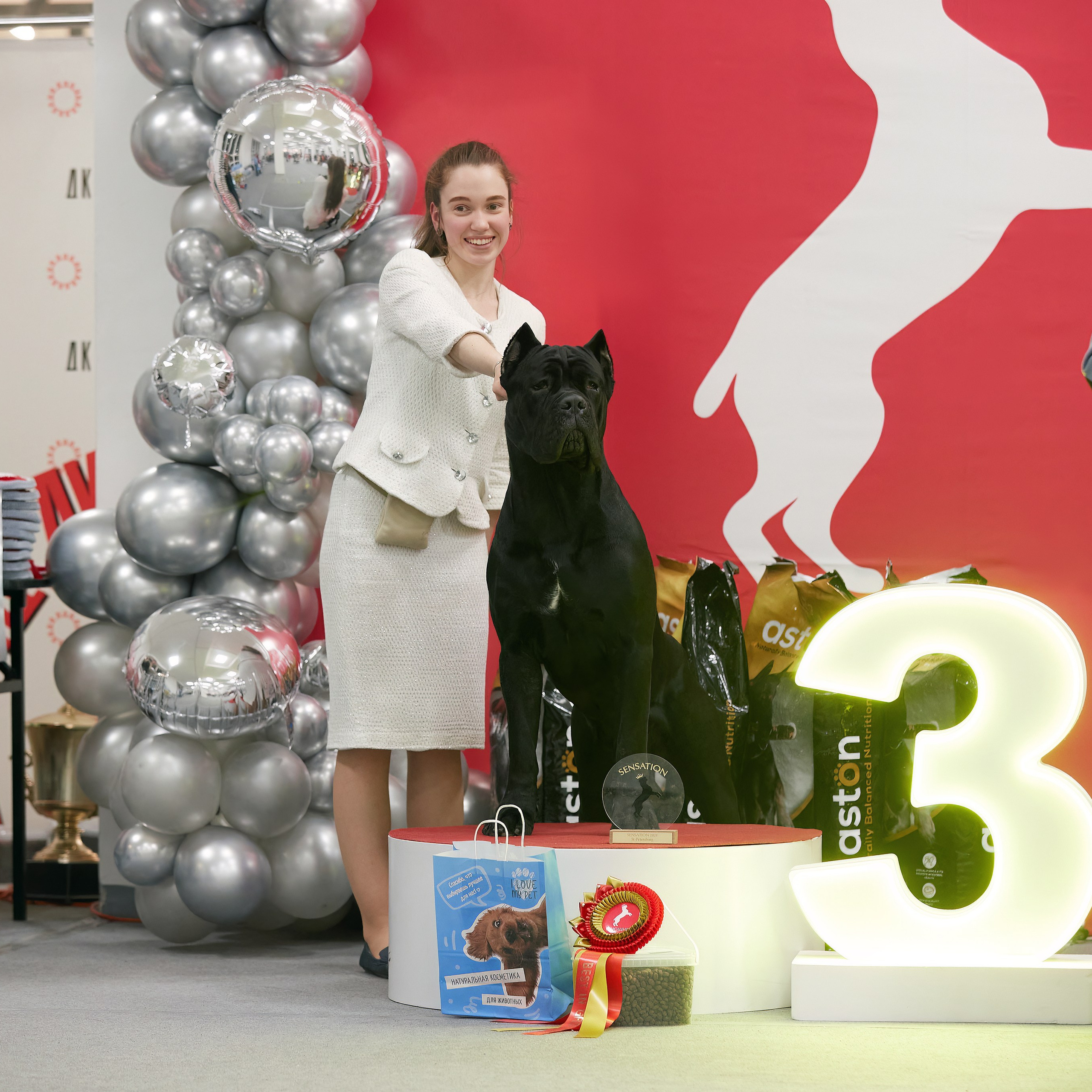 10-11.02.2024 ВЫСТАВКА СОБАК ВСЕХ ПОРОД (САС, ЧФ). Кинологический клуб РКФ РФСС СЕНСАЦИЯ