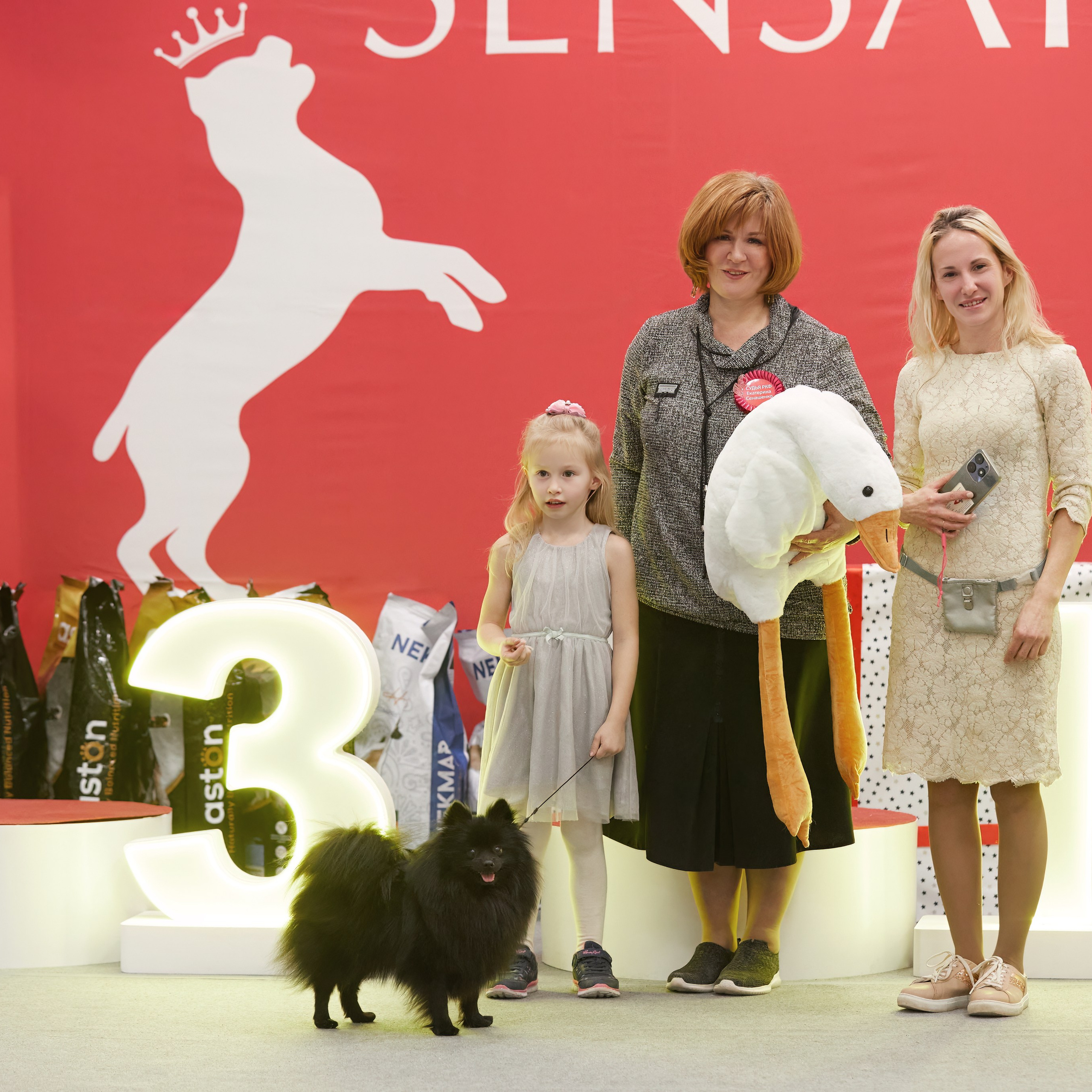 10-11.02.2024 ВЫСТАВКА СОБАК ВСЕХ ПОРОД (САС, ЧФ). Кинологический клуб РКФ РФСС СЕНСАЦИЯ