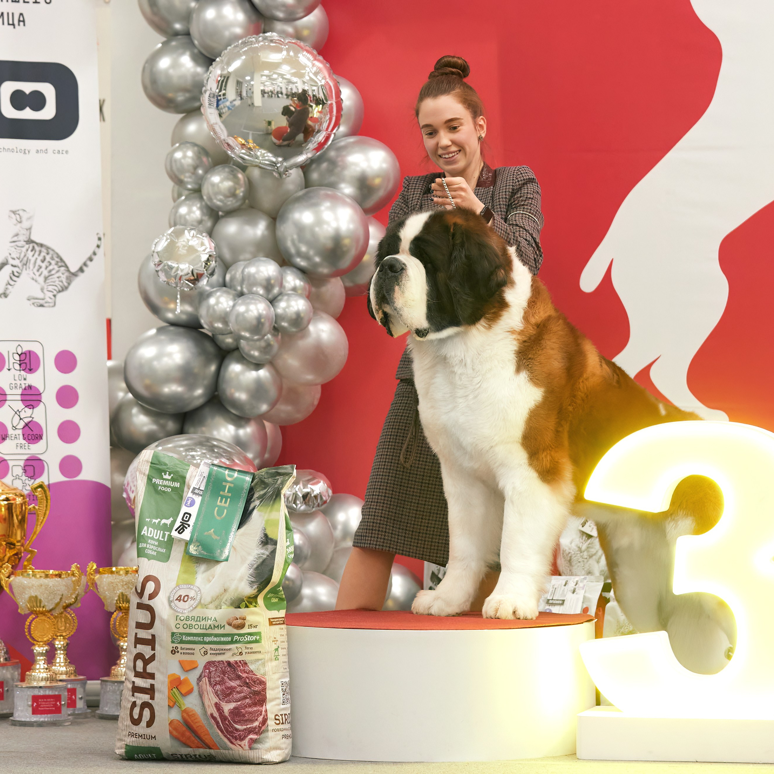 10-11.02.2024 ВЫСТАВКА СОБАК ВСЕХ ПОРОД (САС, ЧФ). Кинологический клуб РКФ РФСС СЕНСАЦИЯ