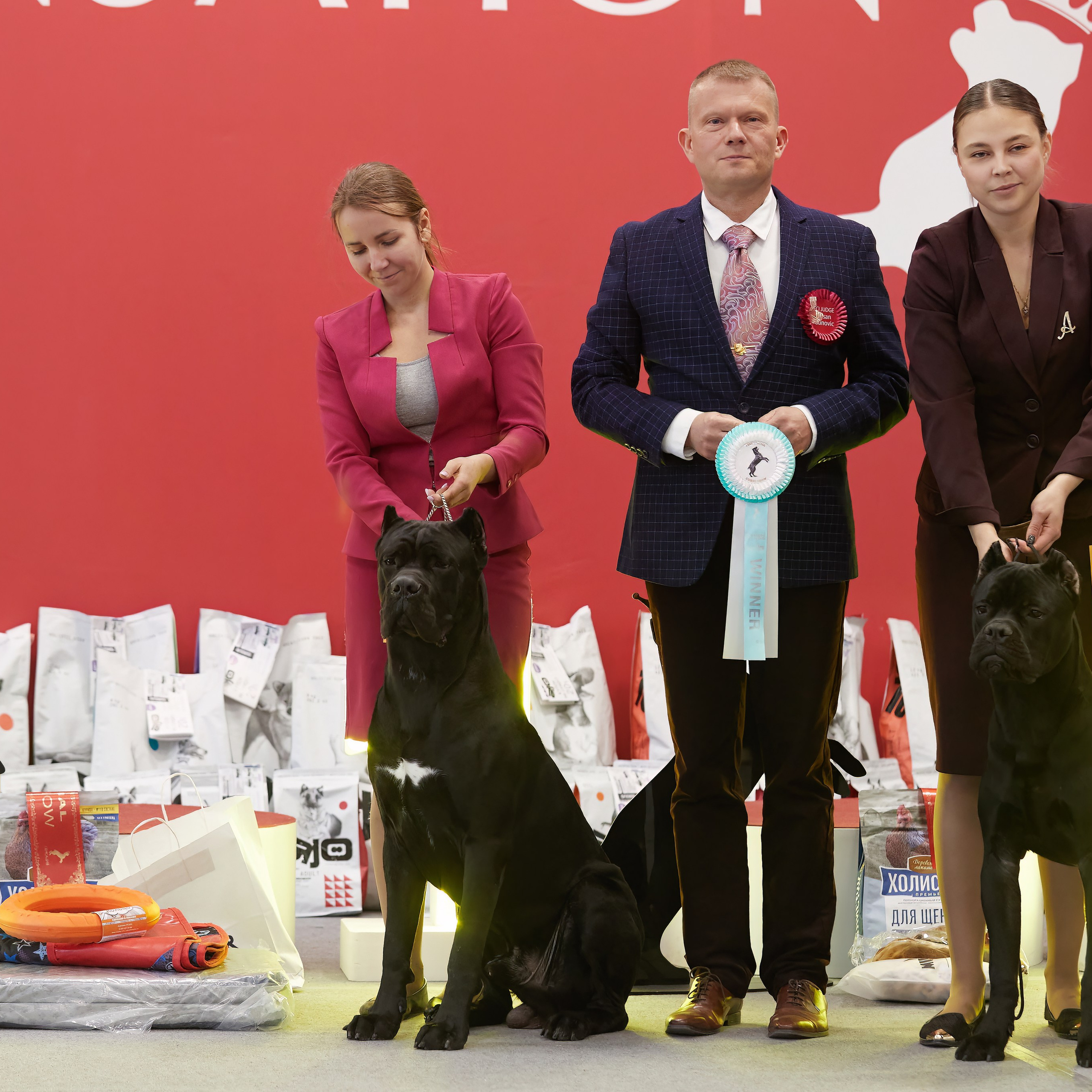 10-11.02.2024 ВЫСТАВКА СОБАК ВСЕХ ПОРОД (САС, ЧФ). Кинологический клуб РКФ РФСС СЕНСАЦИЯ