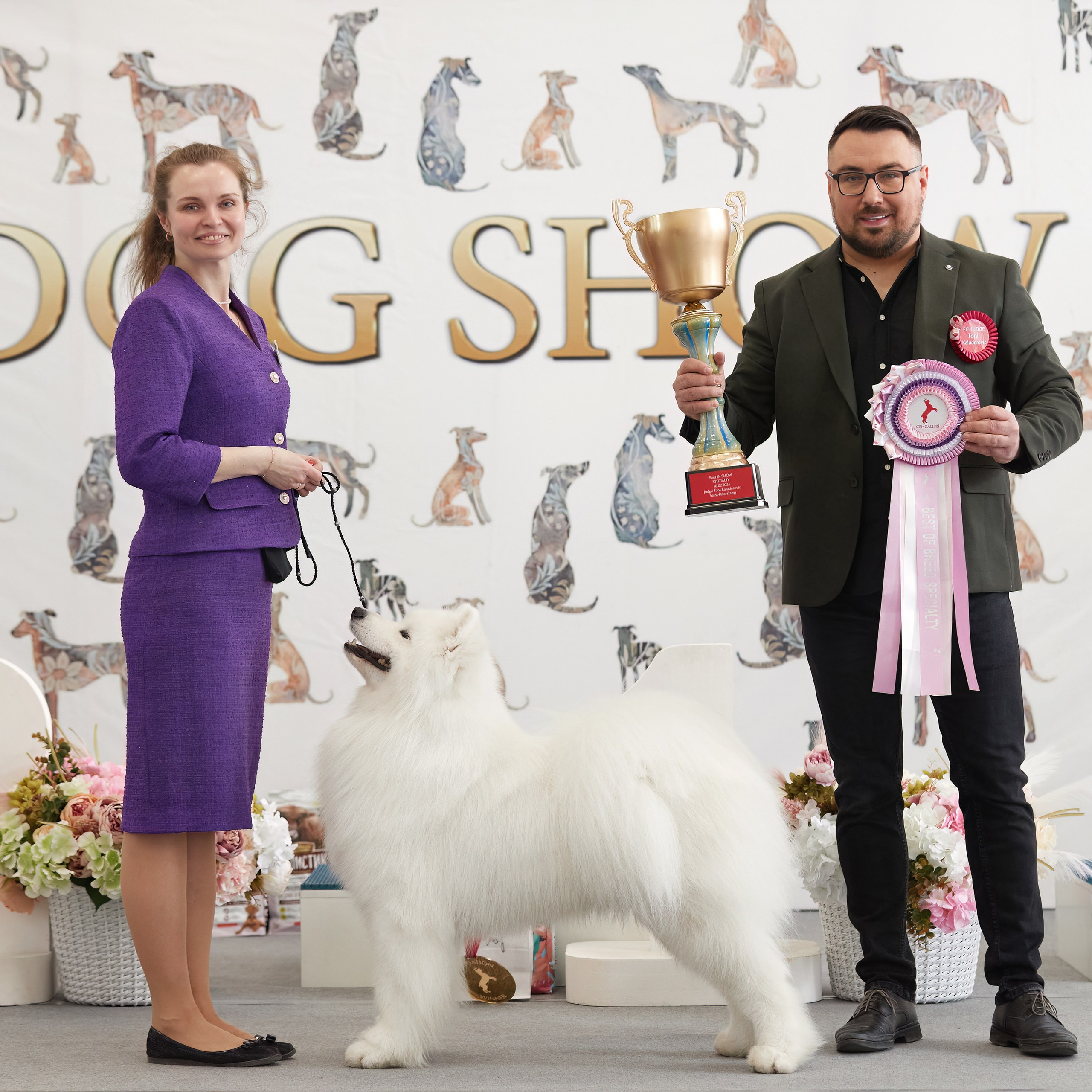 10-11.02.2024 ВЫСТАВКА СОБАК ВСЕХ ПОРОД (САС, ЧФ). Кинологический клуб РКФ РФСС СЕНСАЦИЯ