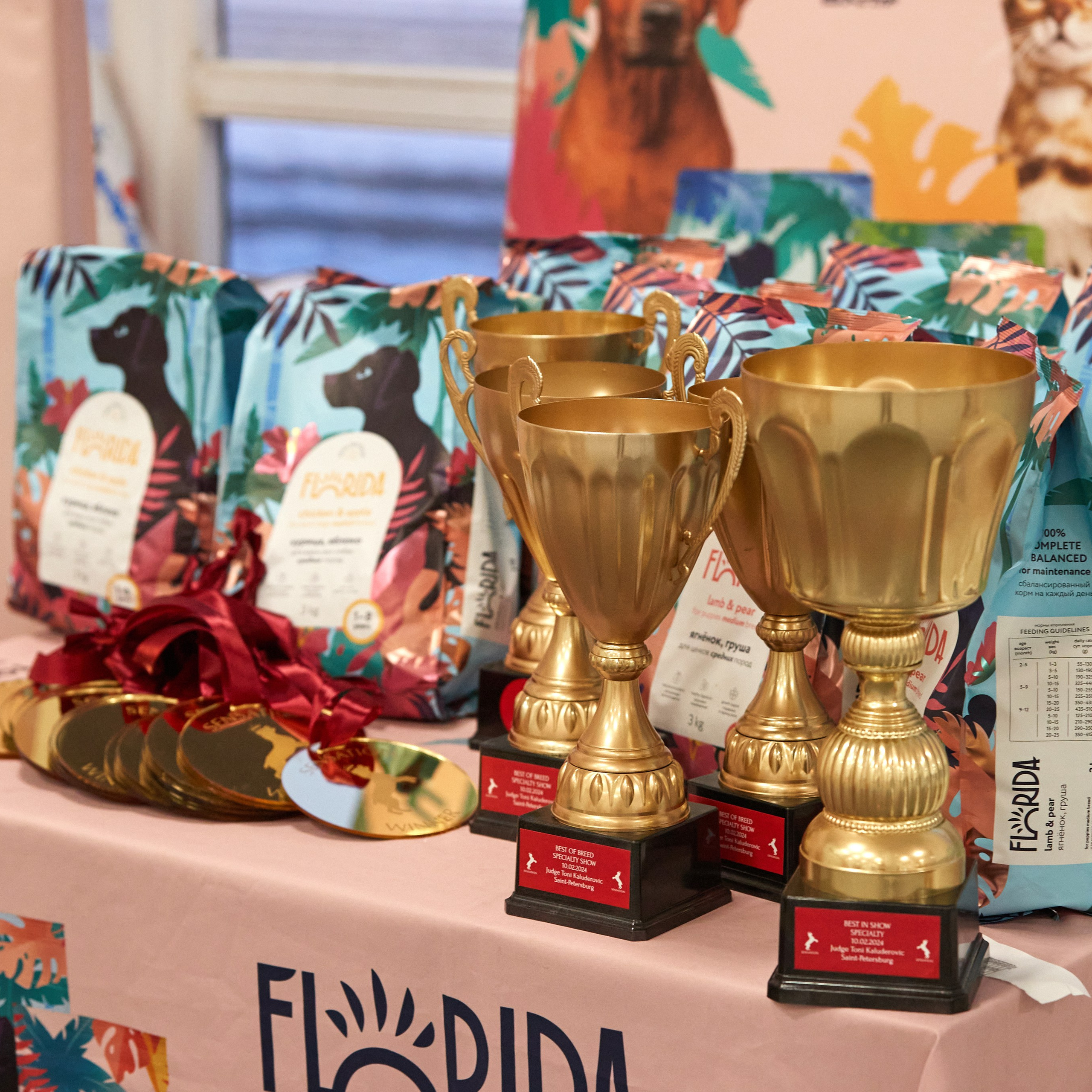 10-11.02.2024 ВЫСТАВКА СОБАК ВСЕХ ПОРОД (САС, ЧФ). Кинологический клуб РКФ РФСС СЕНСАЦИЯ