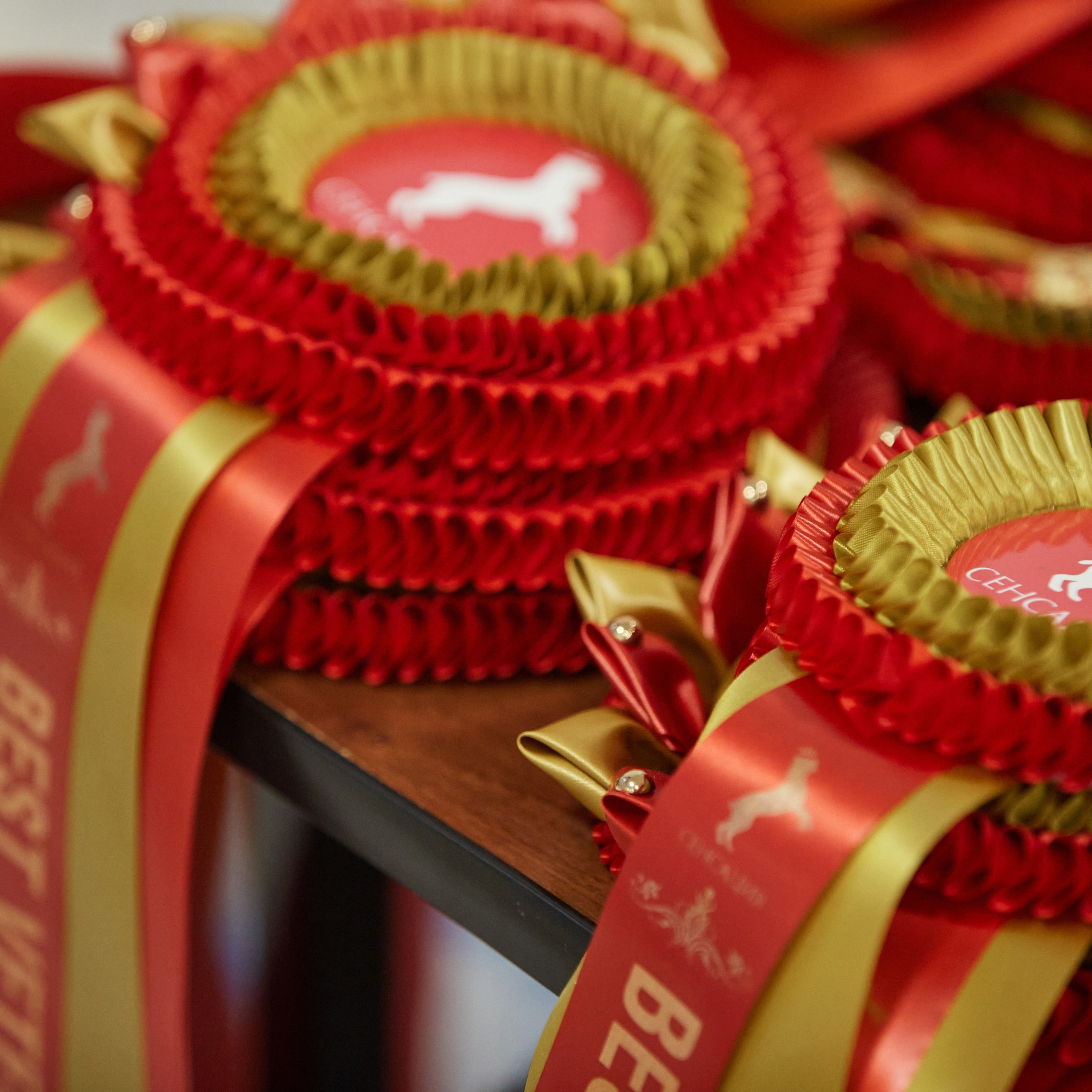 10-11.02.2024 ВЫСТАВКА СОБАК ВСЕХ ПОРОД (САС, ЧФ). Кинологический клуб РКФ РФСС СЕНСАЦИЯ