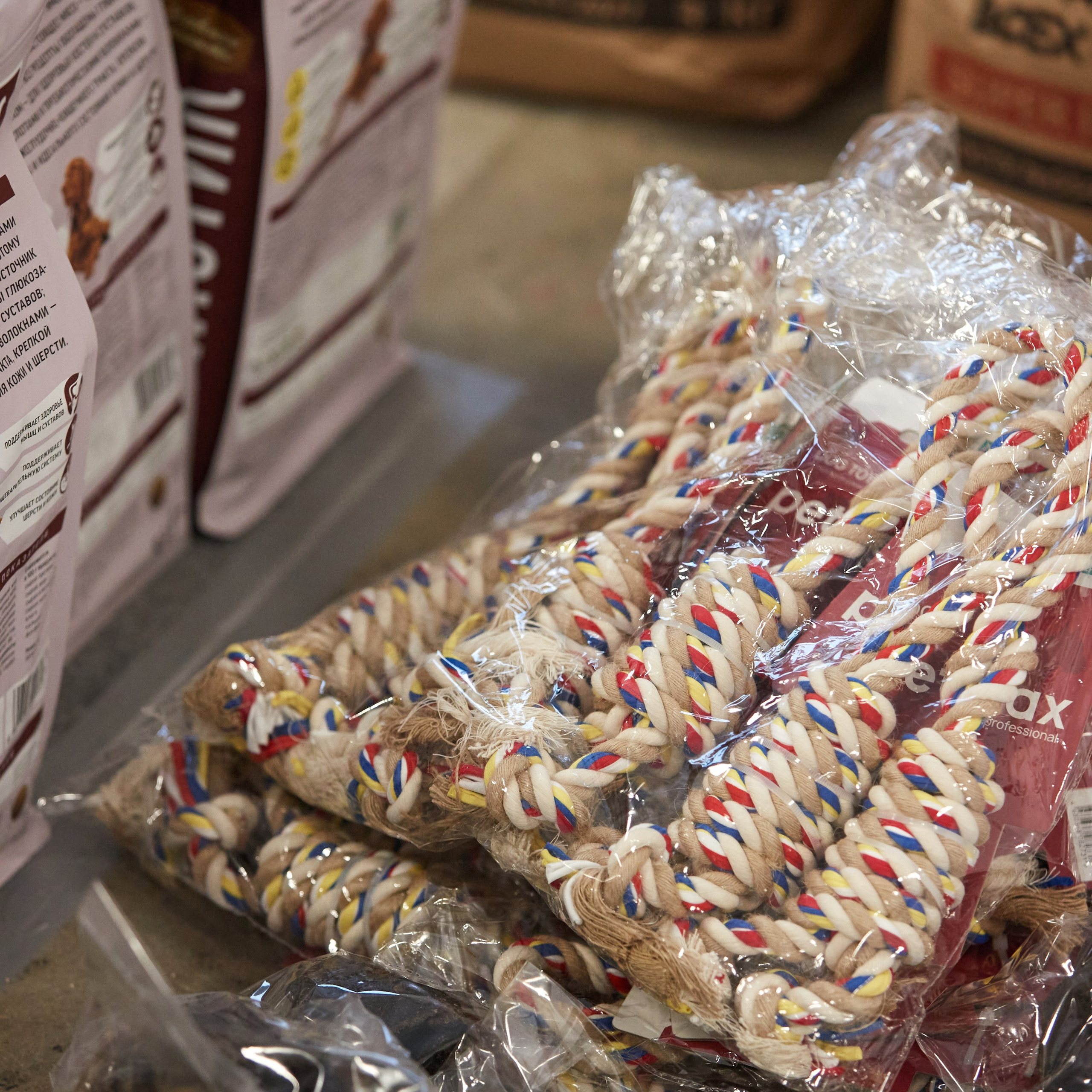 10-11.02.2024 ВЫСТАВКА СОБАК ВСЕХ ПОРОД (САС, ЧФ). Кинологический клуб РКФ РФСС СЕНСАЦИЯ