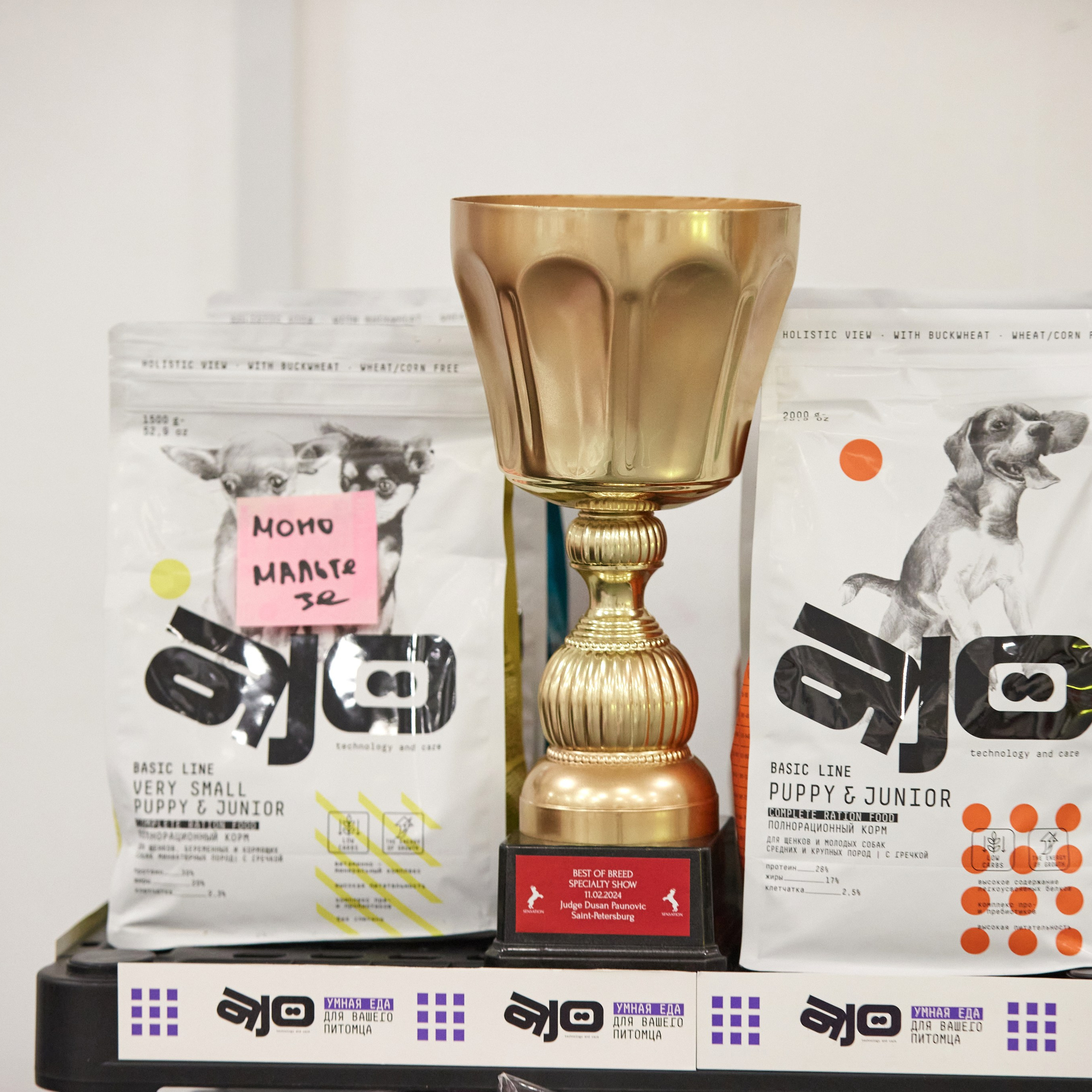 10-11.02.2024 ВЫСТАВКА СОБАК ВСЕХ ПОРОД (САС, ЧФ). Кинологический клуб РКФ РФСС СЕНСАЦИЯ