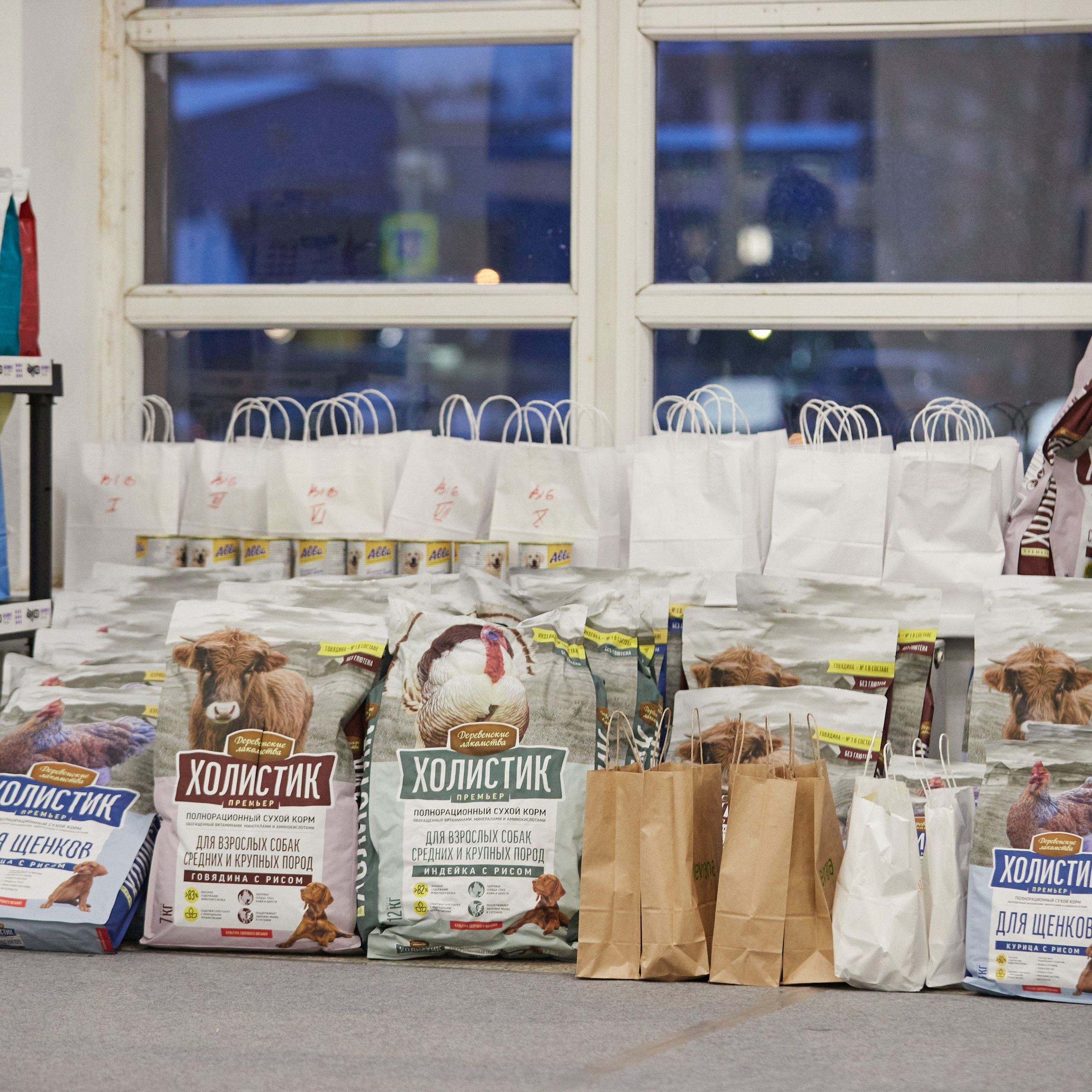 10-11.02.2024 ВЫСТАВКА СОБАК ВСЕХ ПОРОД (САС, ЧФ). Кинологический клуб РКФ РФСС СЕНСАЦИЯ