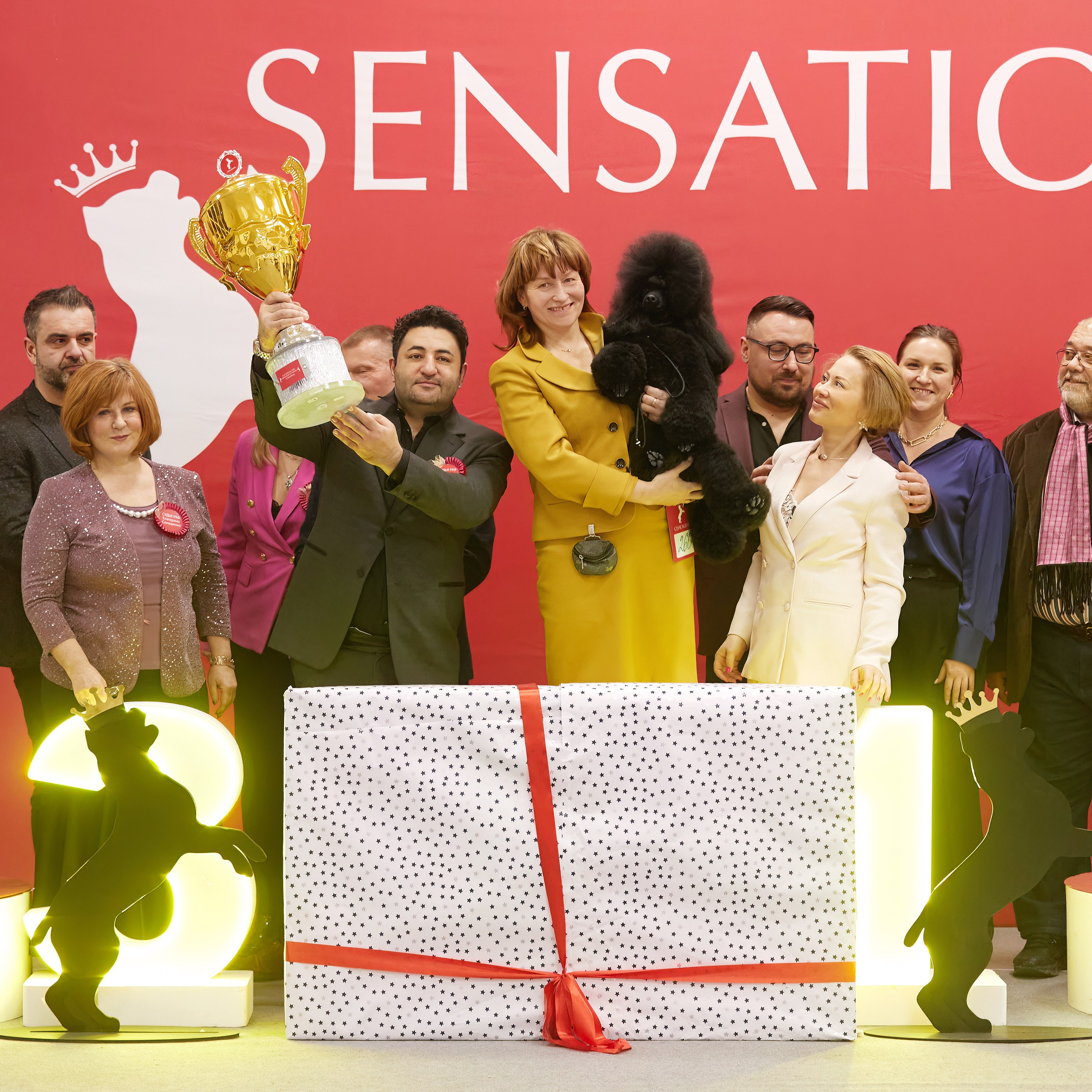 10-11.02.2024 ВЫСТАВКА СОБАК ВСЕХ ПОРОД (САС, ЧФ). Кинологический клуб РКФ РФСС СЕНСАЦИЯ