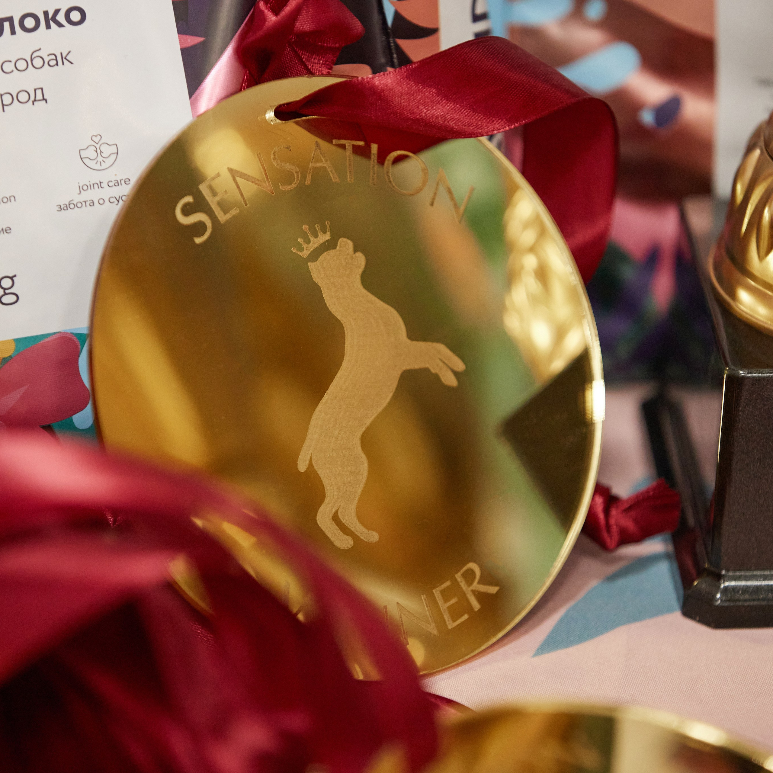 10-11.02.2024 ВЫСТАВКА СОБАК ВСЕХ ПОРОД (САС, ЧФ). Кинологический клуб РКФ РФСС СЕНСАЦИЯ