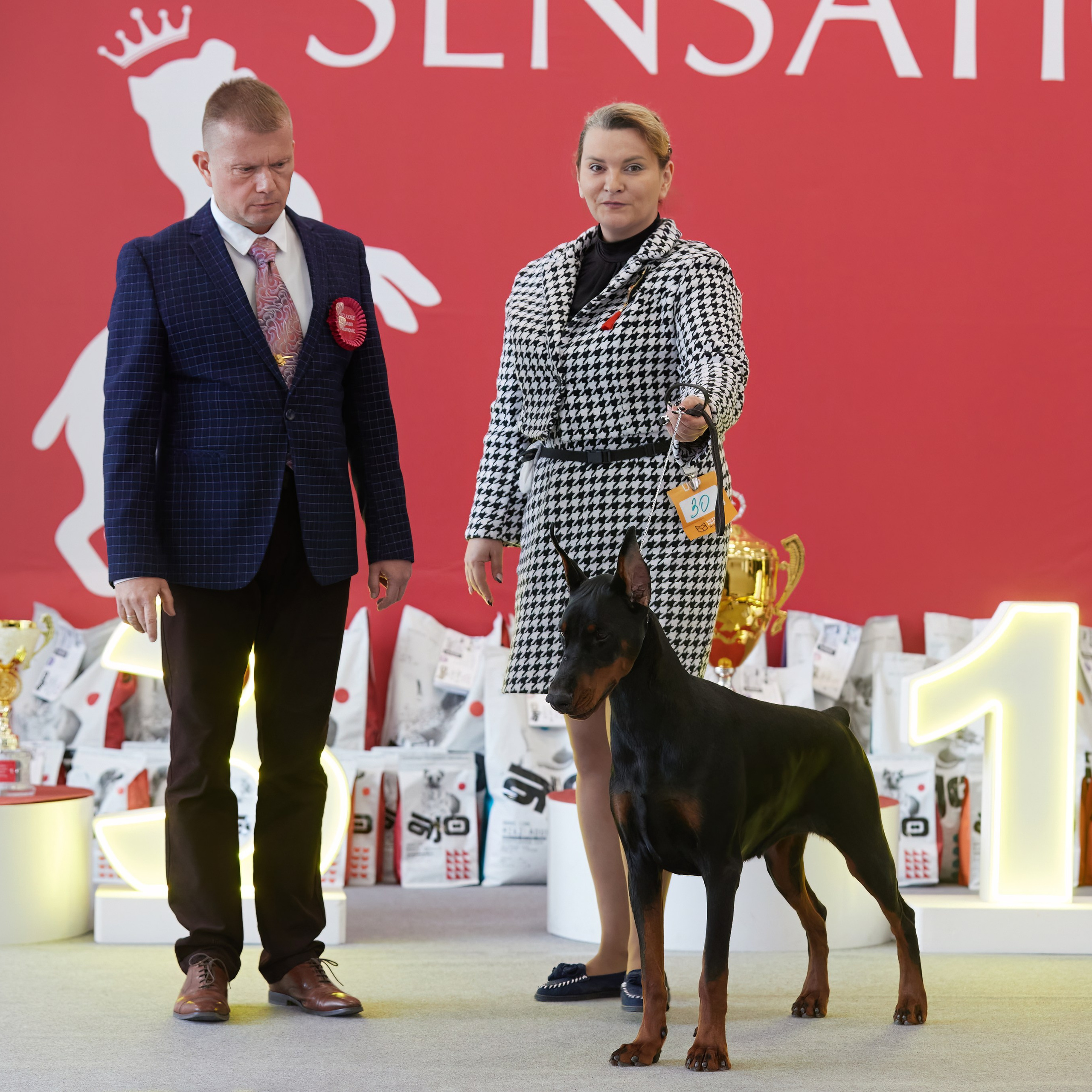 10-11.02.2024 ВЫСТАВКА СОБАК ВСЕХ ПОРОД (САС, ЧФ). Кинологический клуб РКФ РФСС СЕНСАЦИЯ
