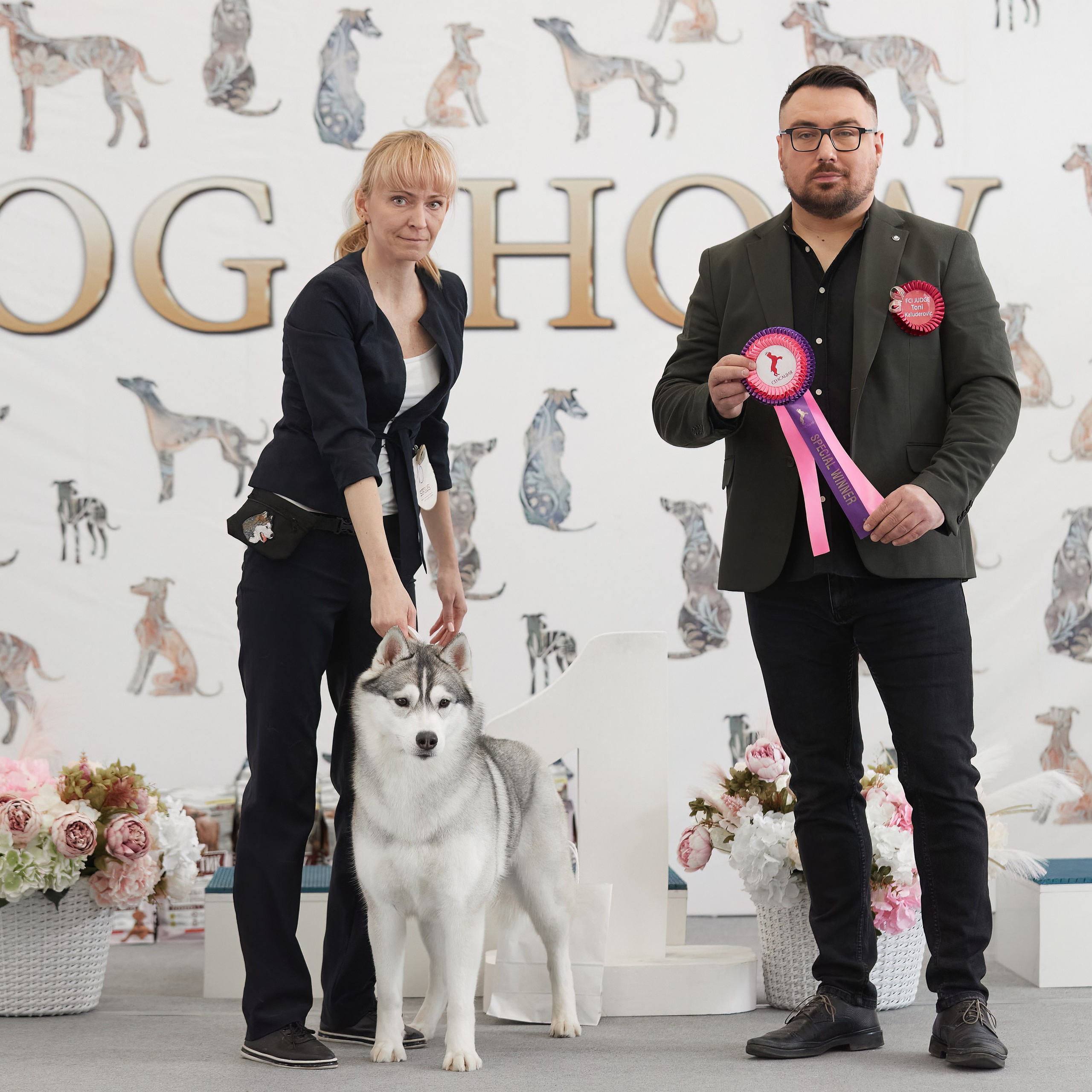 10-11.02.2024 ВЫСТАВКА СОБАК ВСЕХ ПОРОД (САС, ЧФ). Кинологический клуб РКФ РФСС СЕНСАЦИЯ