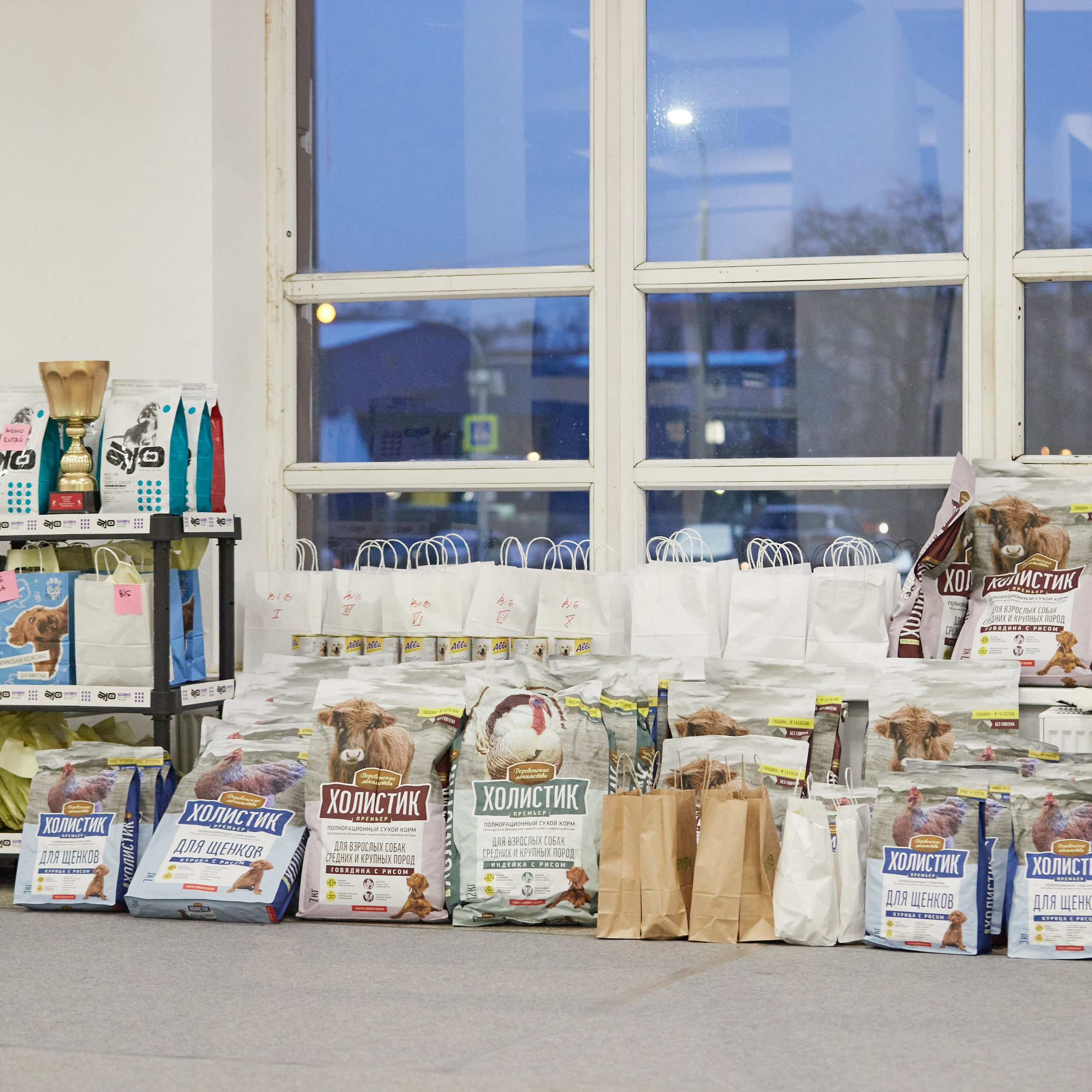 10-11.02.2024 ВЫСТАВКА СОБАК ВСЕХ ПОРОД (САС, ЧФ). Кинологический клуб РКФ РФСС СЕНСАЦИЯ