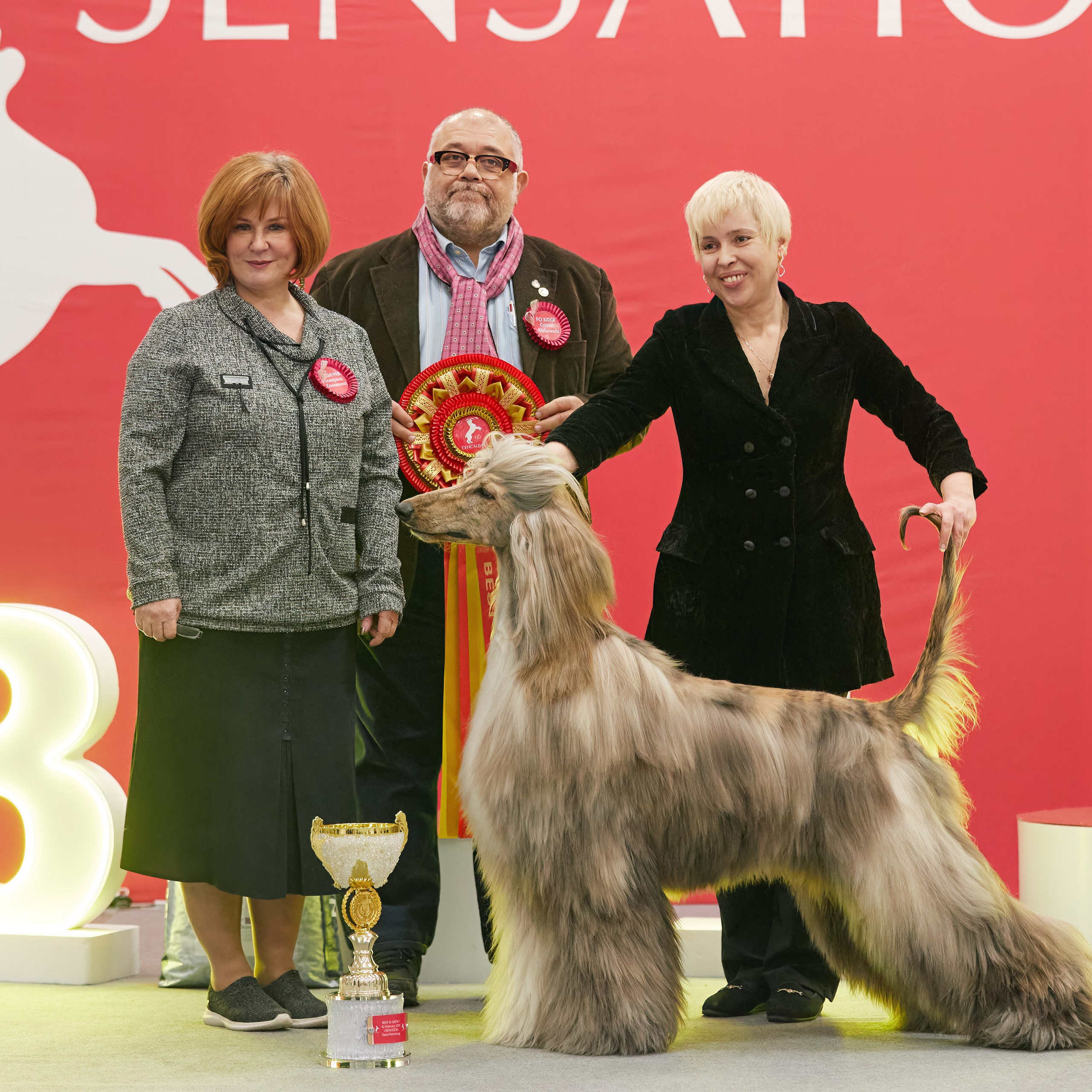 10-11.02.2024 ВЫСТАВКА СОБАК ВСЕХ ПОРОД (САС, ЧФ). Кинологический клуб РКФ РФСС СЕНСАЦИЯ