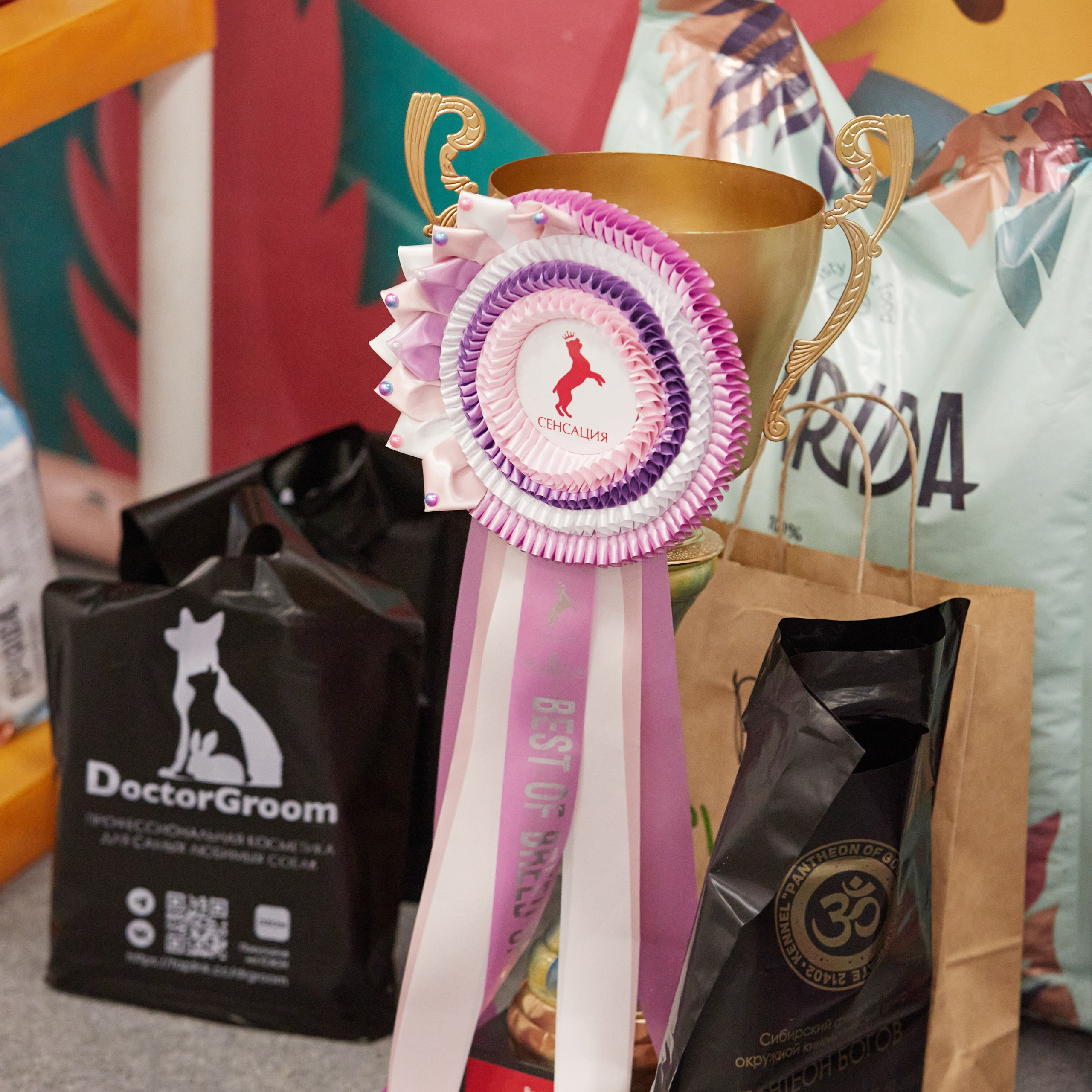 10-11.02.2024 ВЫСТАВКА СОБАК ВСЕХ ПОРОД (САС, ЧФ). Кинологический клуб РКФ РФСС СЕНСАЦИЯ