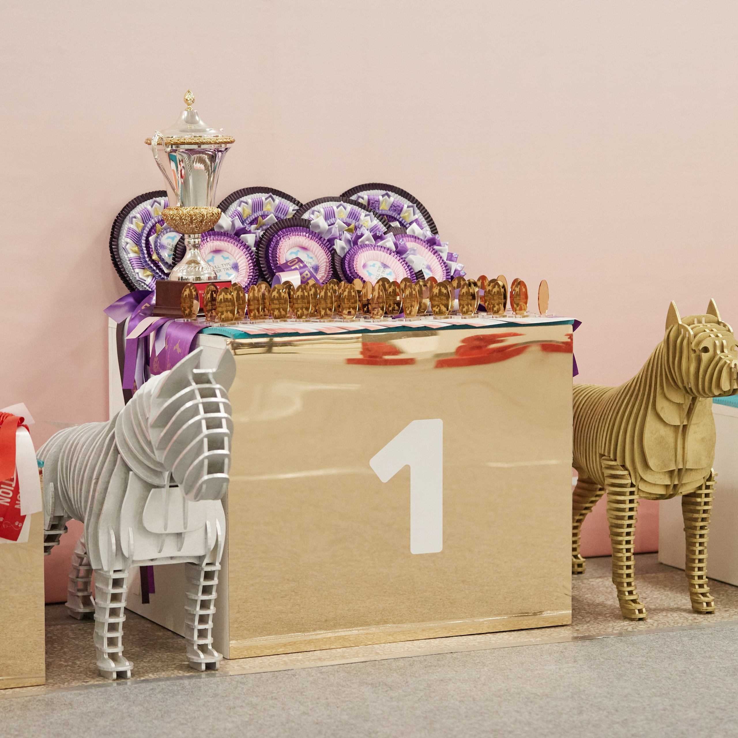 10-11.02.2024 ВЫСТАВКА СОБАК ВСЕХ ПОРОД (САС, ЧФ). Кинологический клуб РКФ РФСС СЕНСАЦИЯ