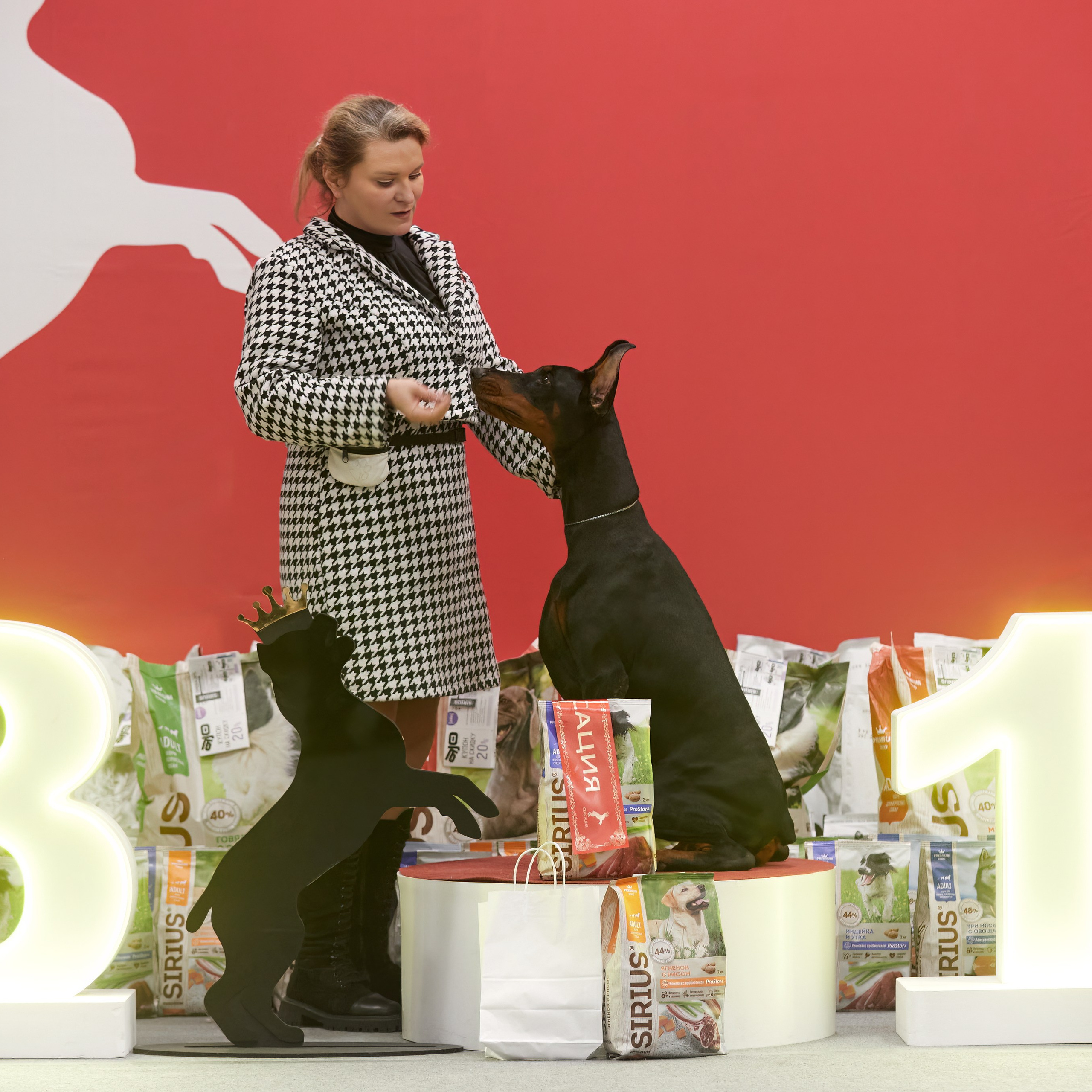 10-11.02.2024 ВЫСТАВКА СОБАК ВСЕХ ПОРОД (САС, ЧФ). Кинологический клуб РКФ РФСС СЕНСАЦИЯ