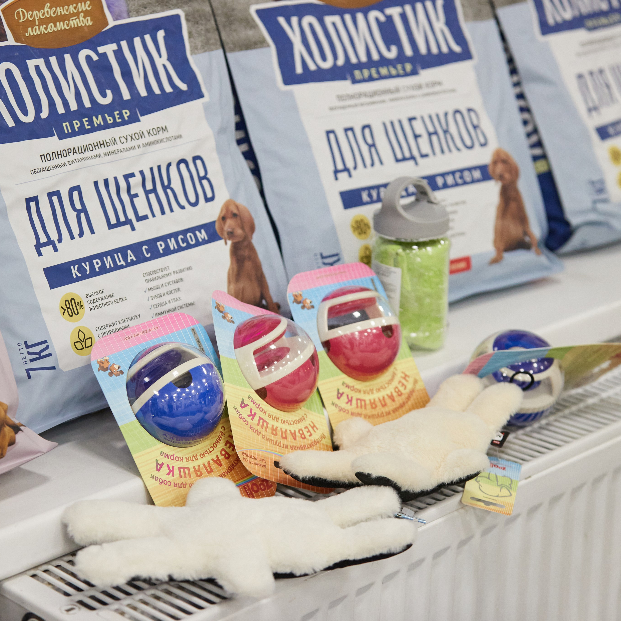 10-11.02.2024 ВЫСТАВКА СОБАК ВСЕХ ПОРОД (САС, ЧФ). Кинологический клуб РКФ РФСС СЕНСАЦИЯ