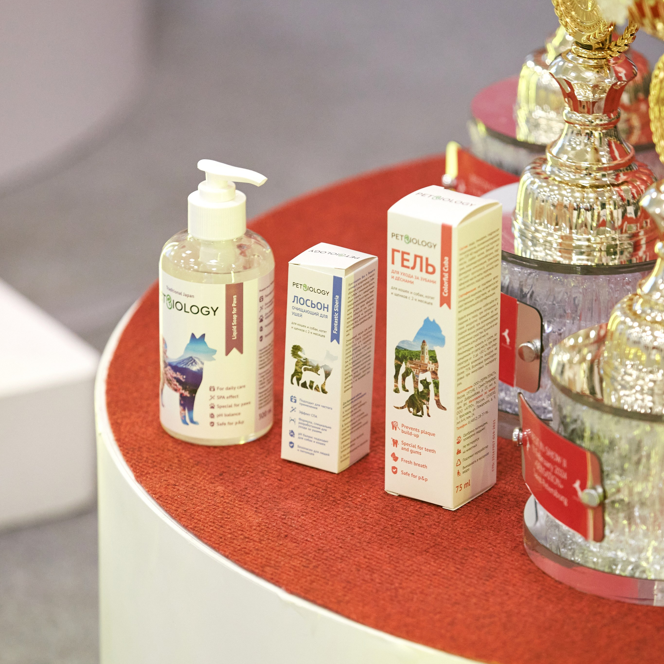 10-11.02.2024 ВЫСТАВКА СОБАК ВСЕХ ПОРОД (САС, ЧФ). Кинологический клуб РКФ РФСС СЕНСАЦИЯ