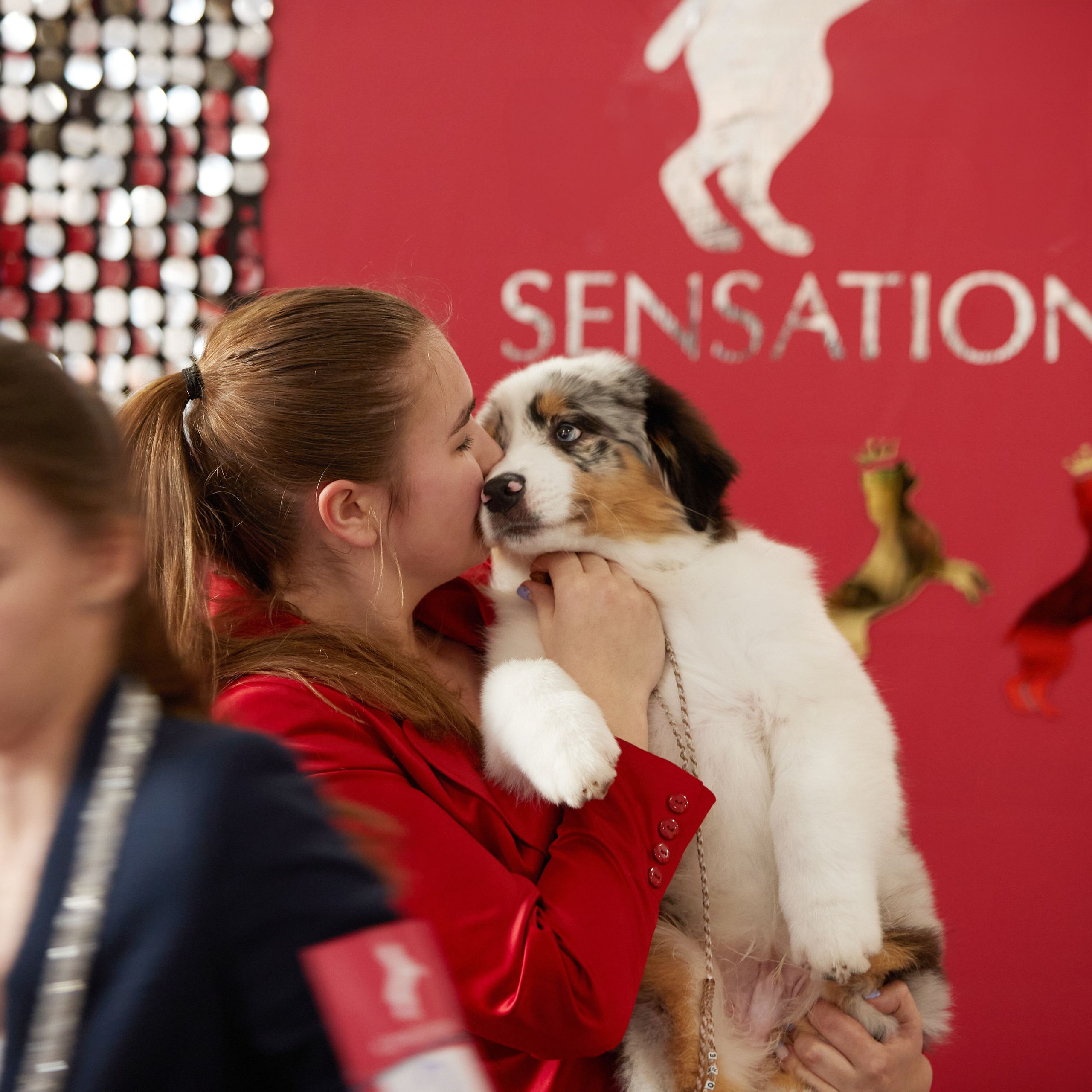 10-11.02.2024 ВЫСТАВКА СОБАК ВСЕХ ПОРОД (САС, ЧФ). Кинологический клуб РКФ РФСС СЕНСАЦИЯ