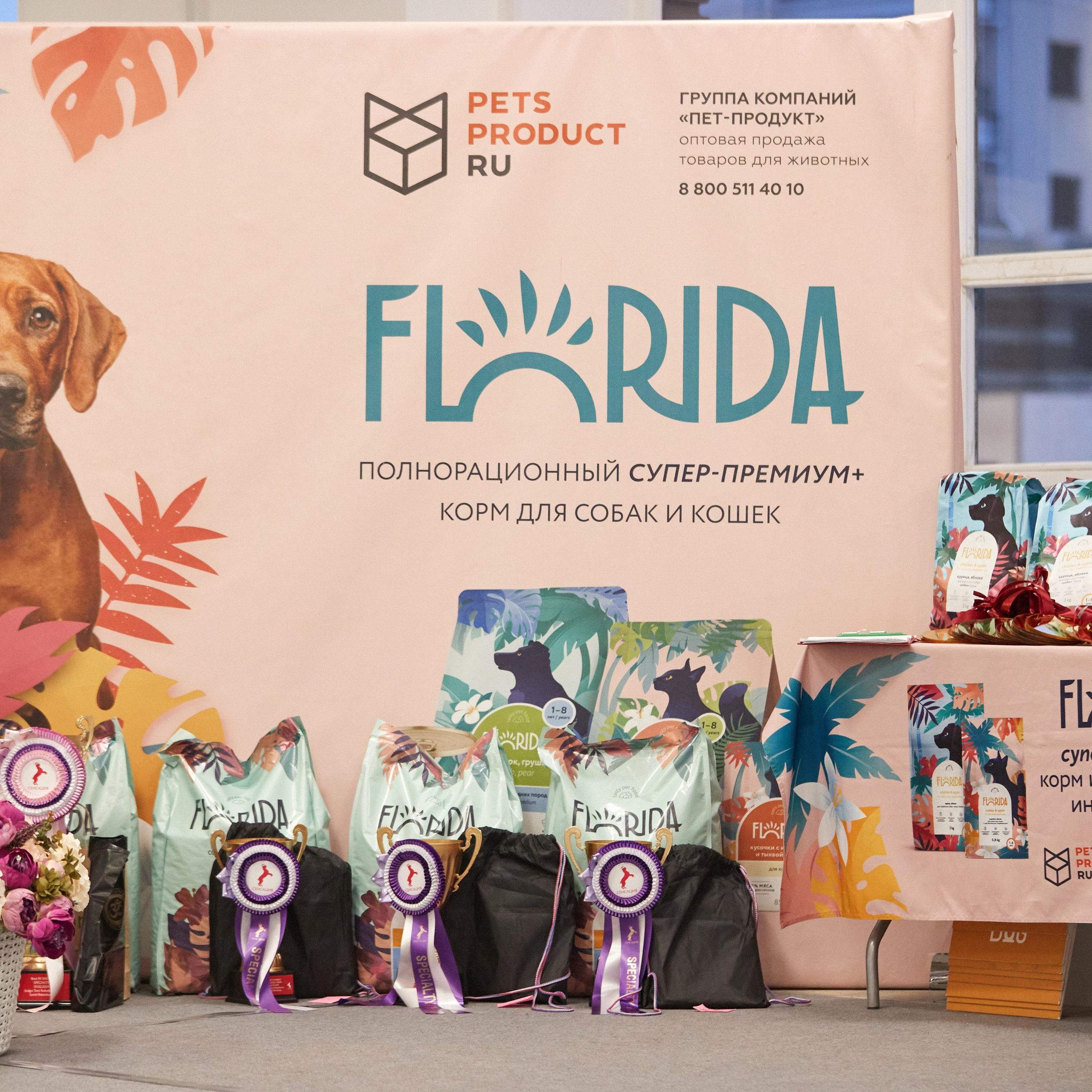 10-11.02.2024 ВЫСТАВКА СОБАК ВСЕХ ПОРОД (САС, ЧФ). Кинологический клуб РКФ РФСС СЕНСАЦИЯ