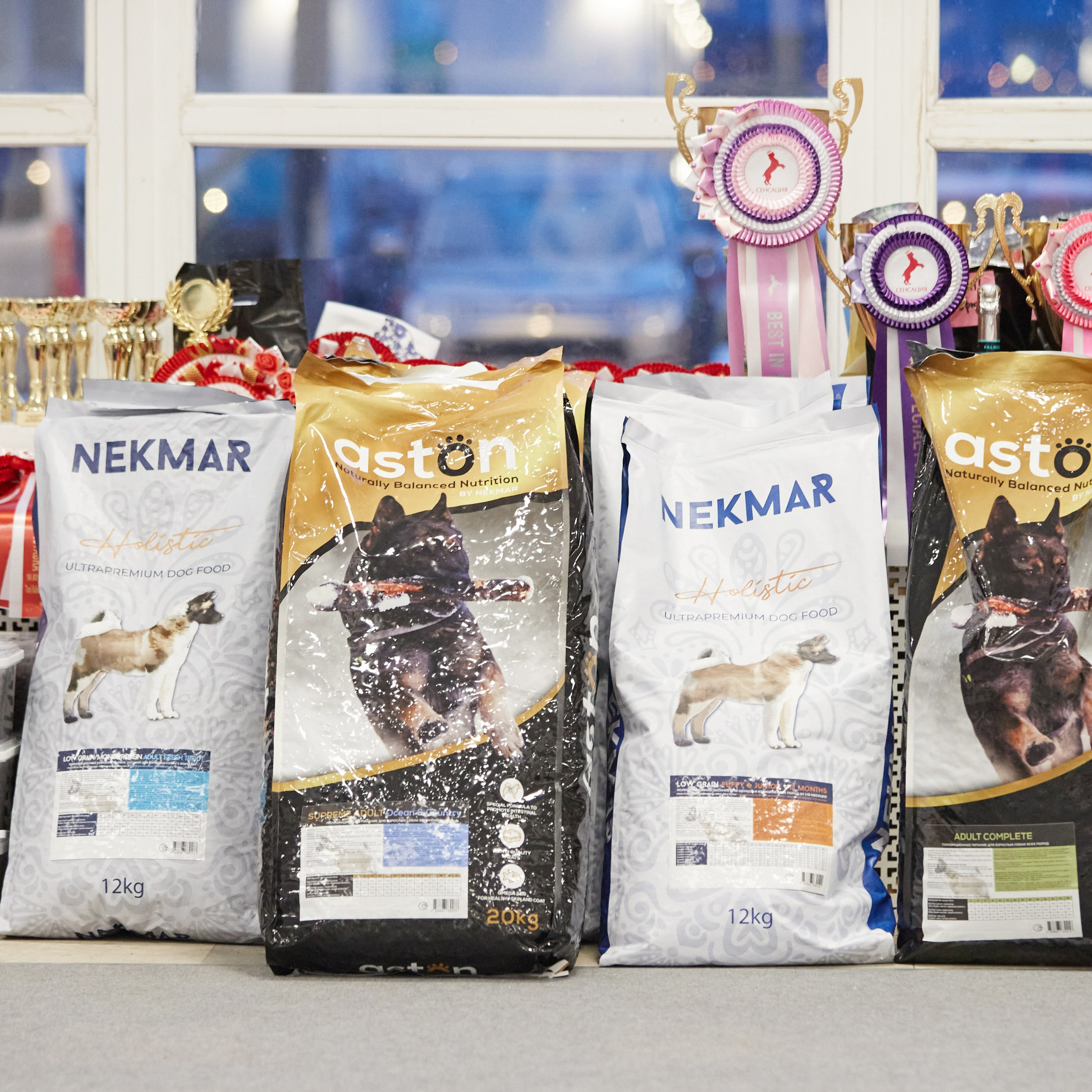 10-11.02.2024 ВЫСТАВКА СОБАК ВСЕХ ПОРОД (САС, ЧФ). Кинологический клуб РКФ РФСС СЕНСАЦИЯ