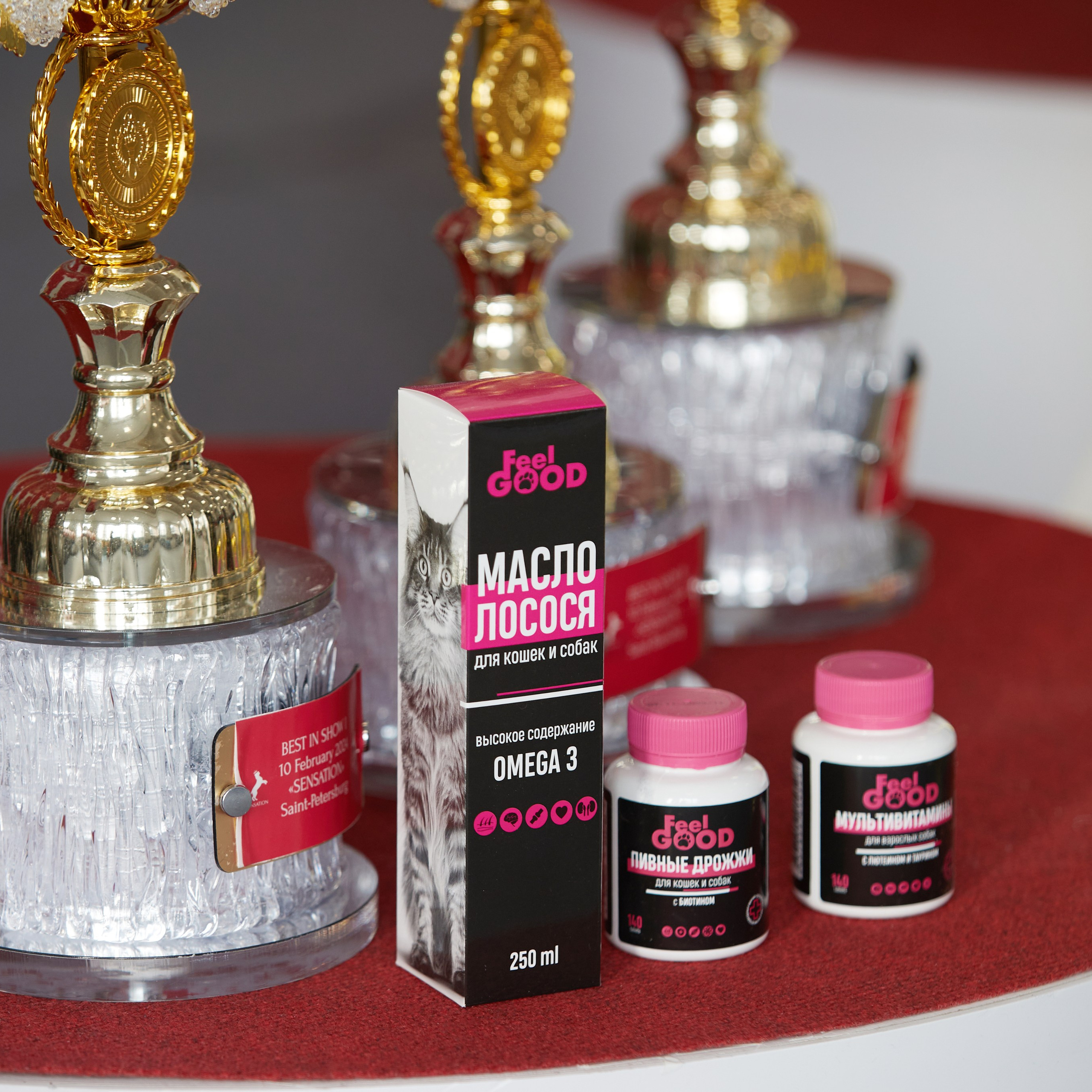 10-11.02.2024 ВЫСТАВКА СОБАК ВСЕХ ПОРОД (САС, ЧФ). Кинологический клуб РКФ РФСС СЕНСАЦИЯ