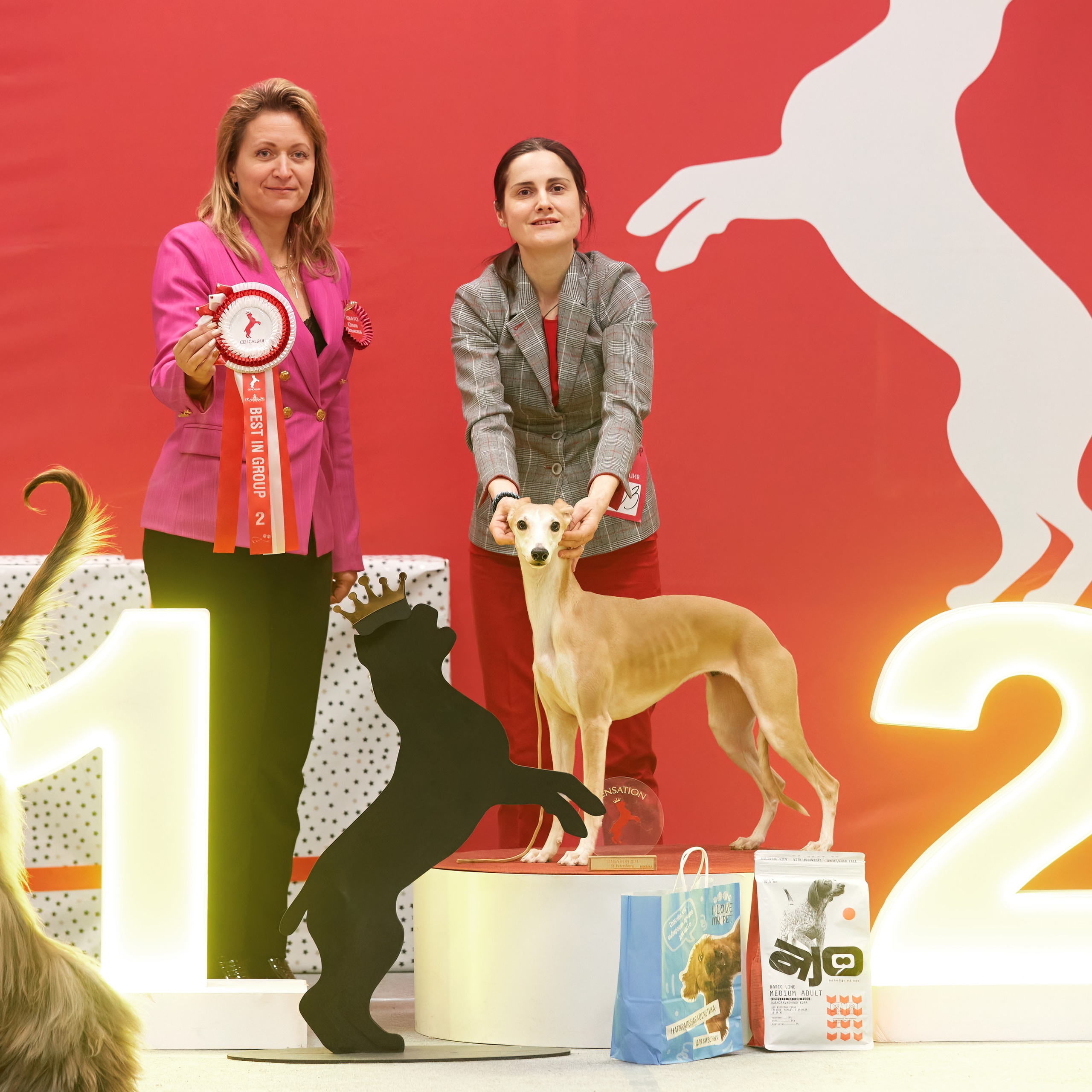 10-11.02.2024 ВЫСТАВКА СОБАК ВСЕХ ПОРОД (САС, ЧФ). Кинологический клуб РКФ РФСС СЕНСАЦИЯ