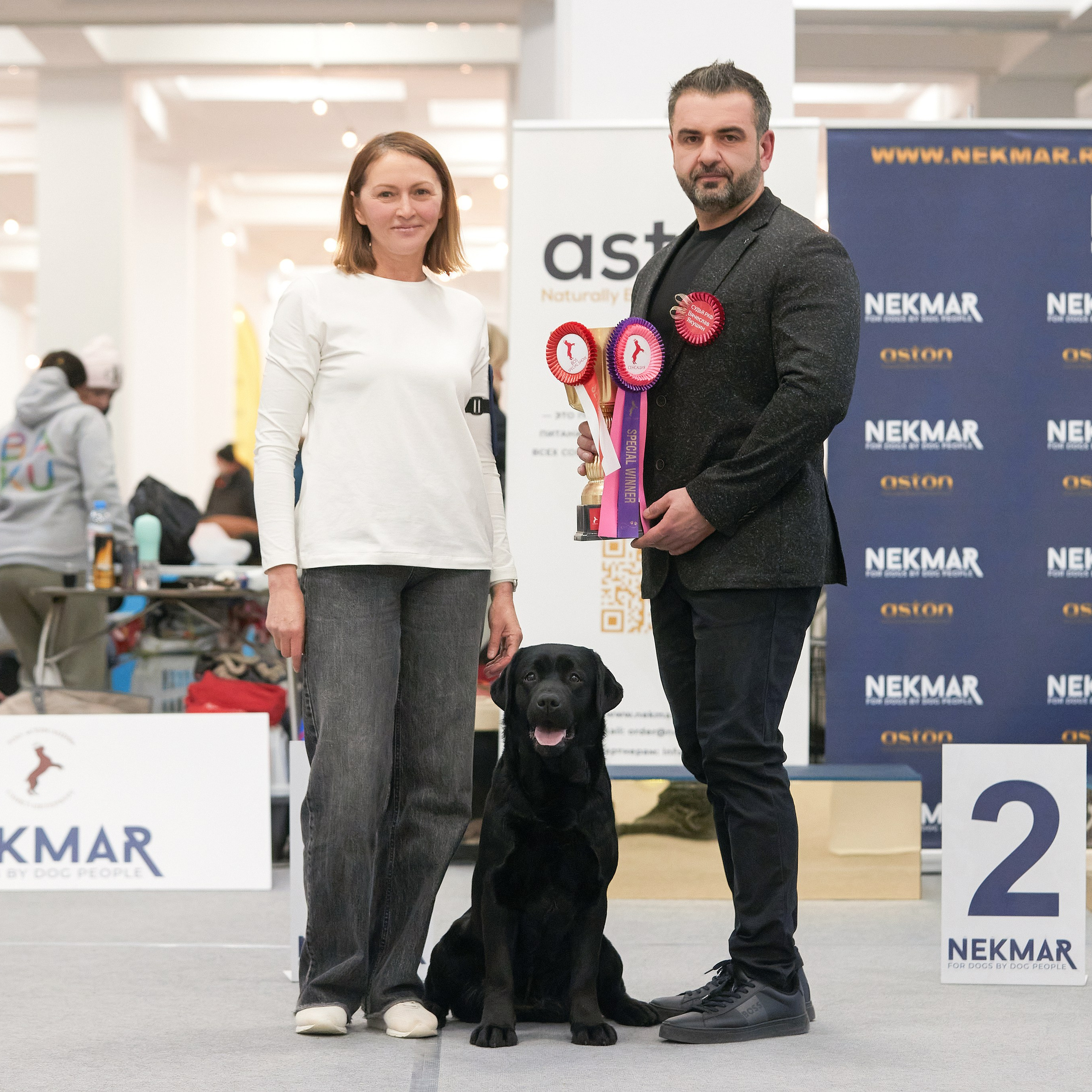 10-11.02.2024 ВЫСТАВКА СОБАК ВСЕХ ПОРОД (САС, ЧФ). Кинологический клуб РКФ РФСС СЕНСАЦИЯ