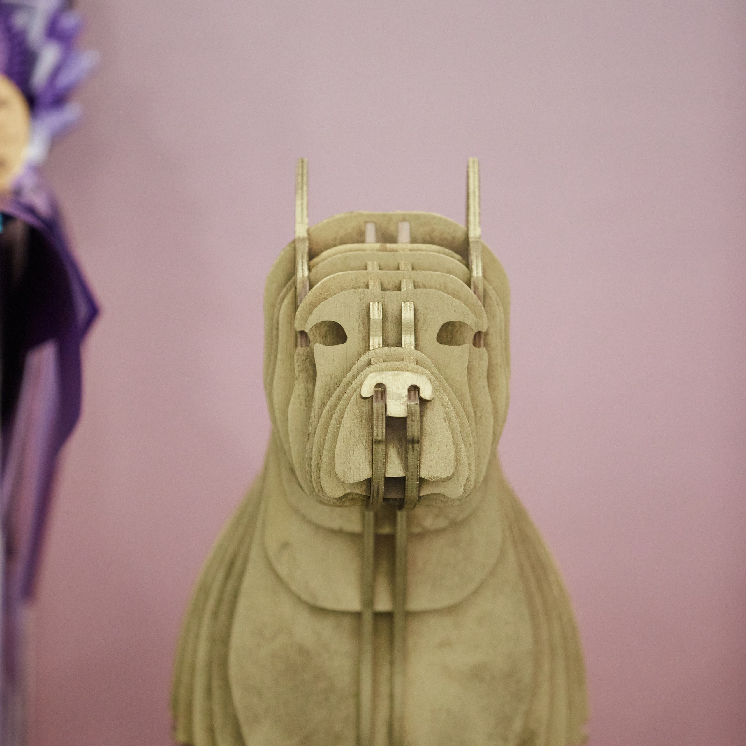 10-11.02.2024 ВЫСТАВКА СОБАК ВСЕХ ПОРОД (САС, ЧФ). Кинологический клуб РКФ РФСС СЕНСАЦИЯ