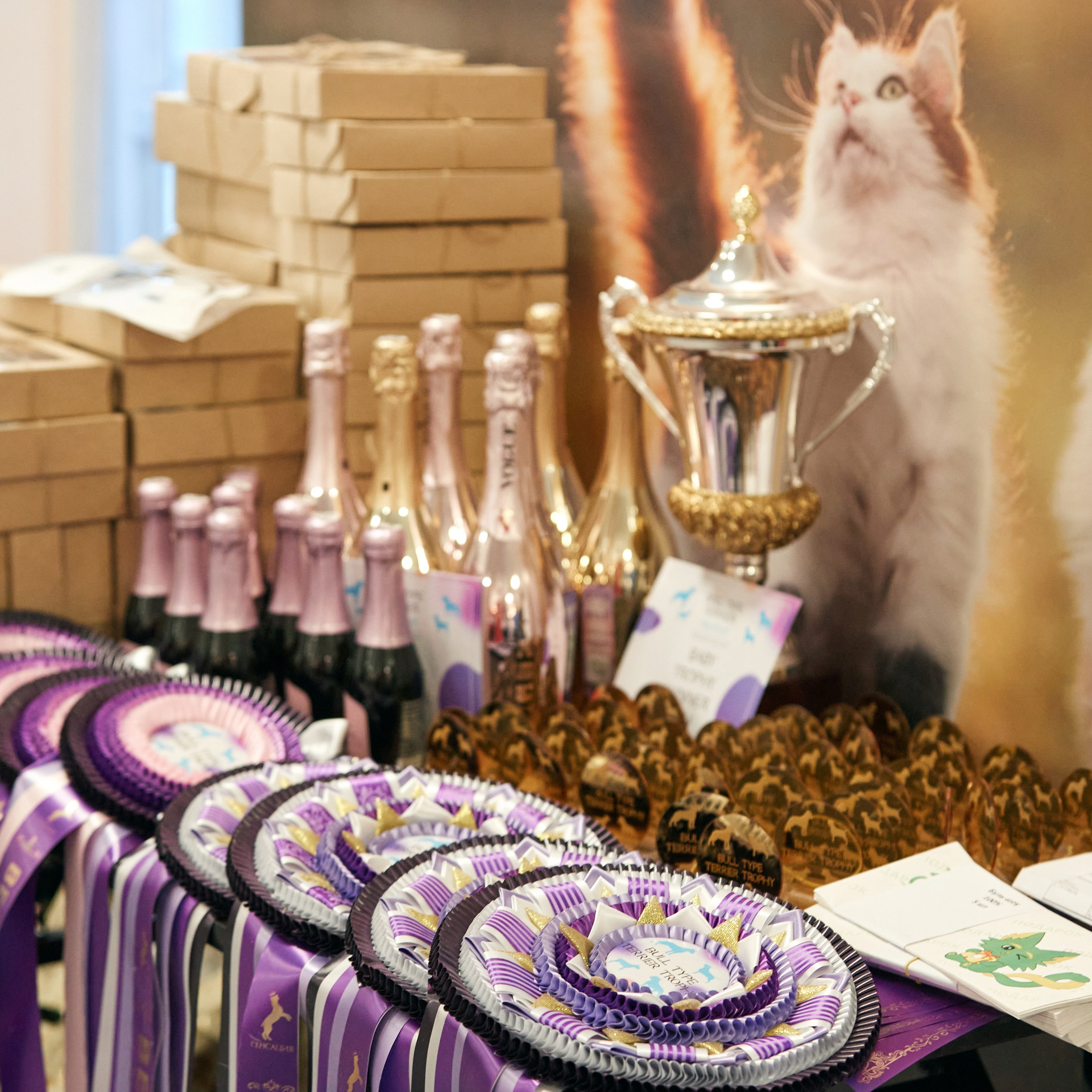 10-11.02.2024 ВЫСТАВКА СОБАК ВСЕХ ПОРОД (САС, ЧФ). Кинологический клуб РКФ РФСС СЕНСАЦИЯ