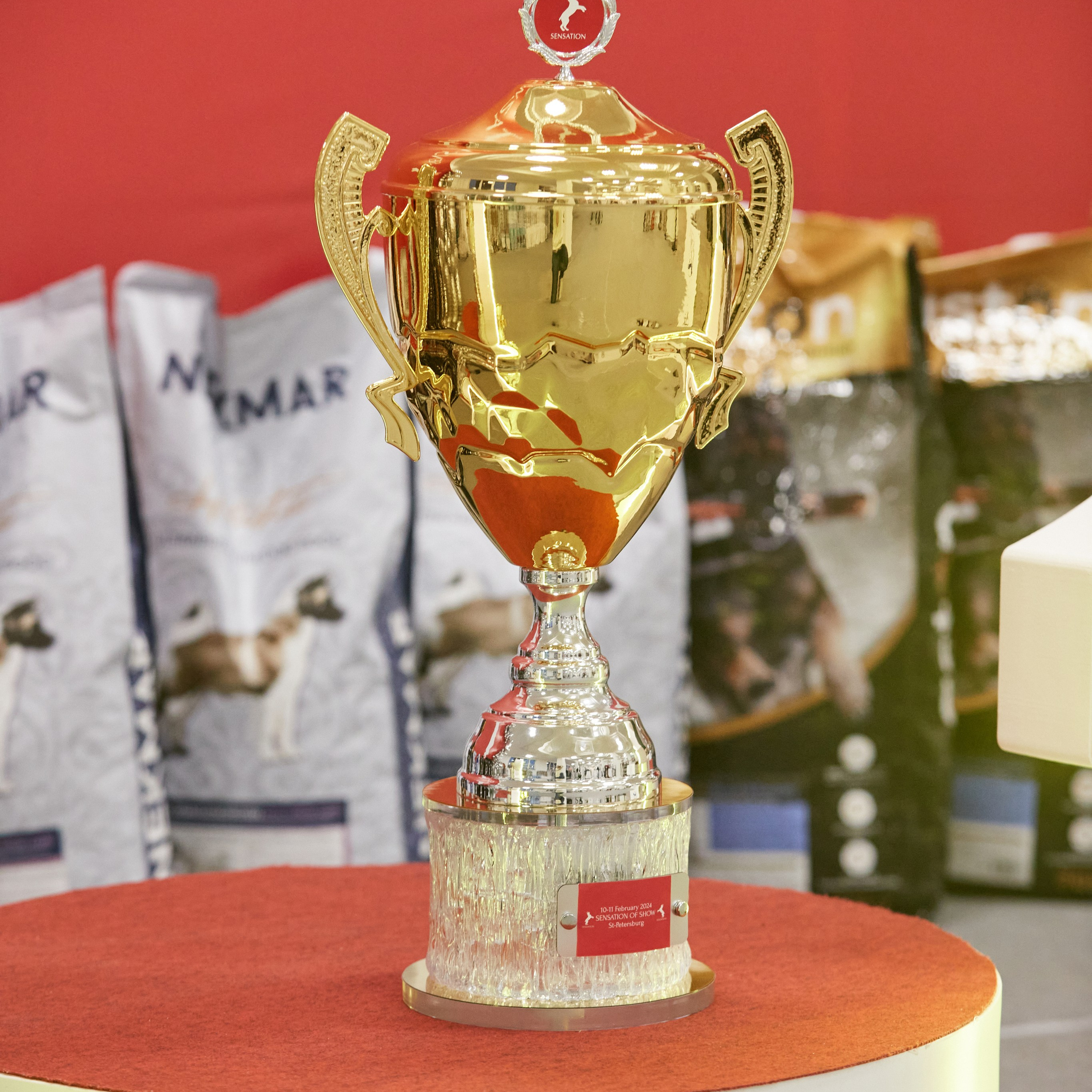 10-11.02.2024 ВЫСТАВКА СОБАК ВСЕХ ПОРОД (САС, ЧФ). Кинологический клуб РКФ РФСС СЕНСАЦИЯ