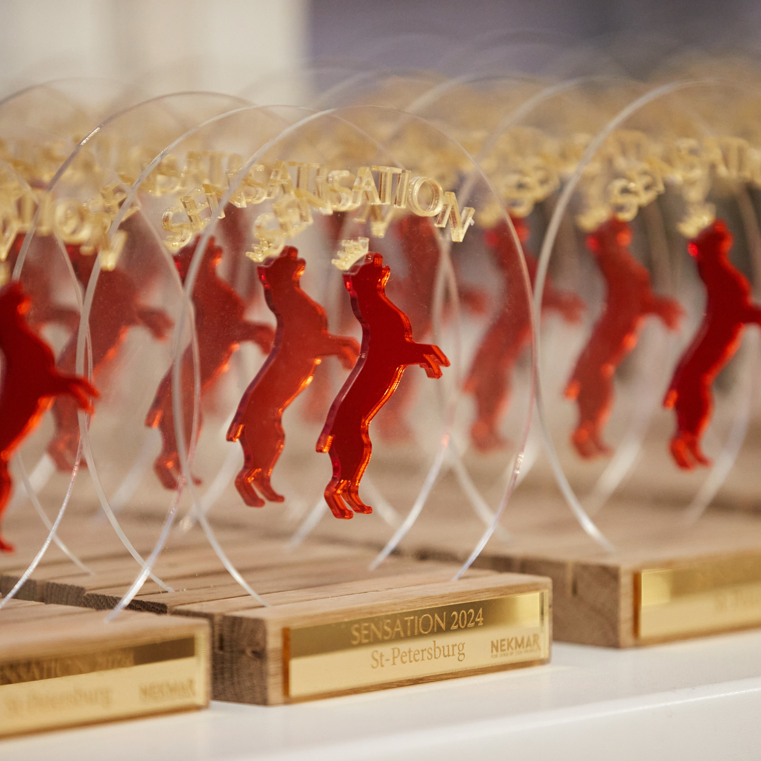 10-11.02.2024 ВЫСТАВКА СОБАК ВСЕХ ПОРОД (САС, ЧФ). Кинологический клуб РКФ РФСС СЕНСАЦИЯ