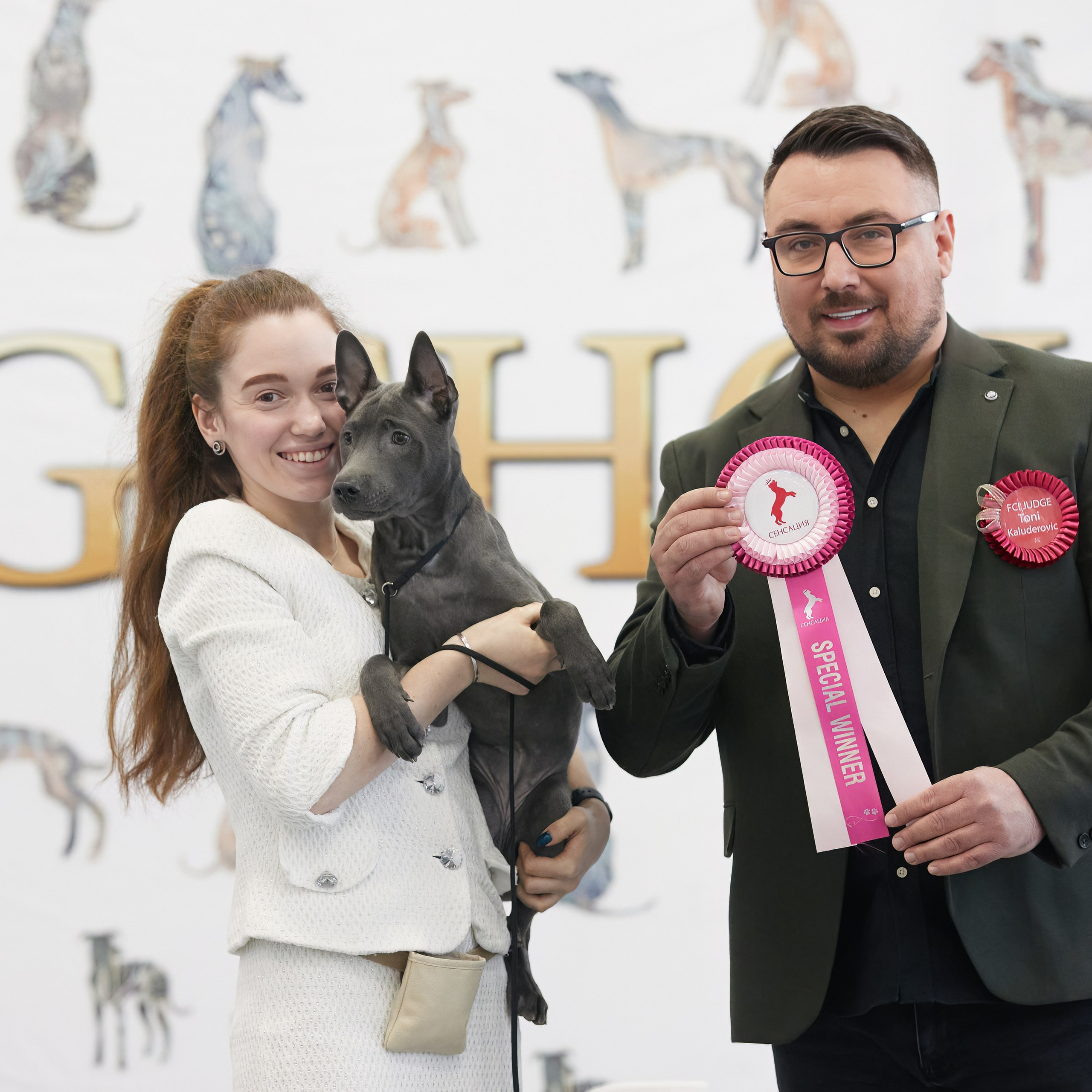 10-11.02.2024 ВЫСТАВКА СОБАК ВСЕХ ПОРОД (САС, ЧФ). Кинологический клуб РКФ РФСС СЕНСАЦИЯ