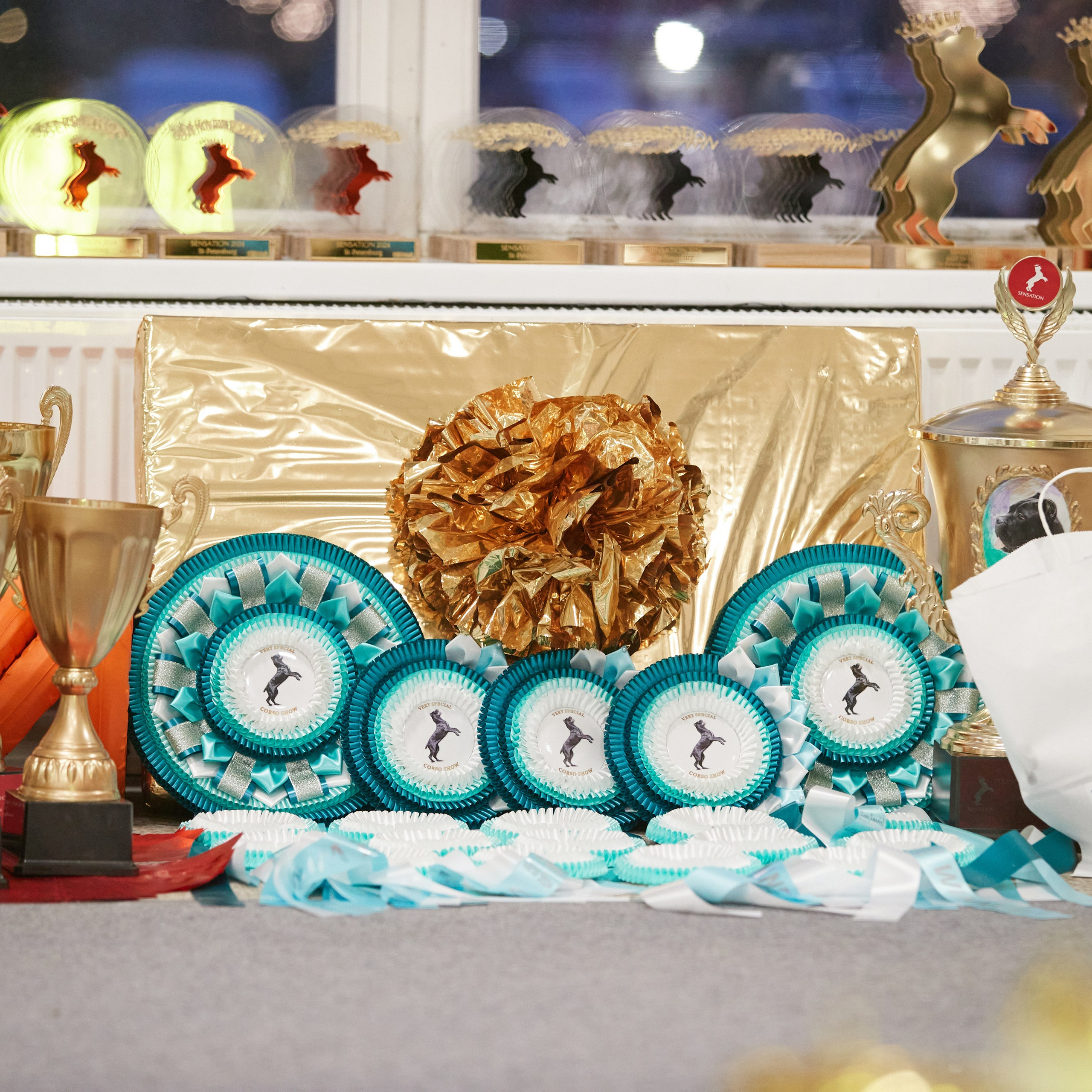 10-11.02.2024 ВЫСТАВКА СОБАК ВСЕХ ПОРОД (САС, ЧФ). Кинологический клуб РКФ РФСС СЕНСАЦИЯ