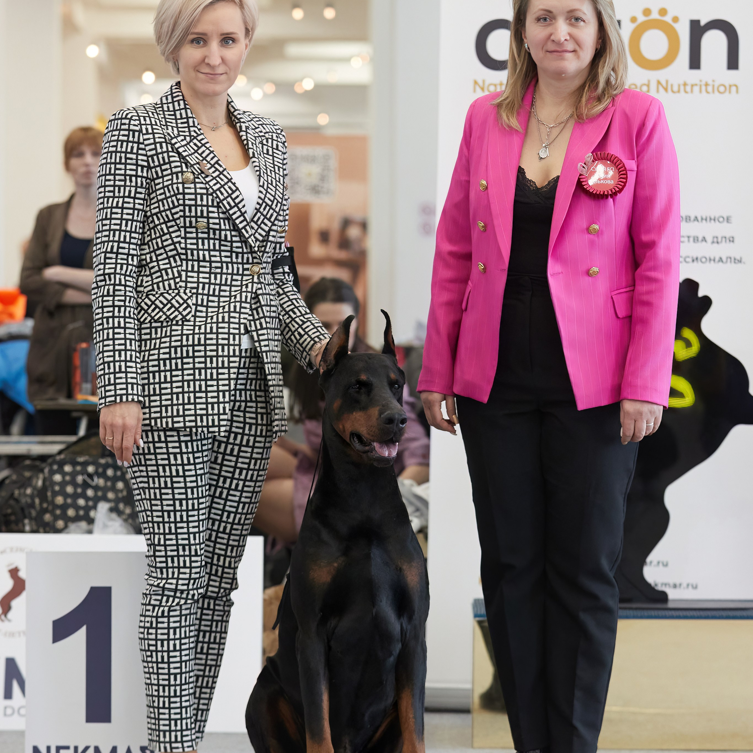 10-11.02.2024 ВЫСТАВКА СОБАК ВСЕХ ПОРОД (САС, ЧФ). Кинологический клуб РКФ РФСС СЕНСАЦИЯ