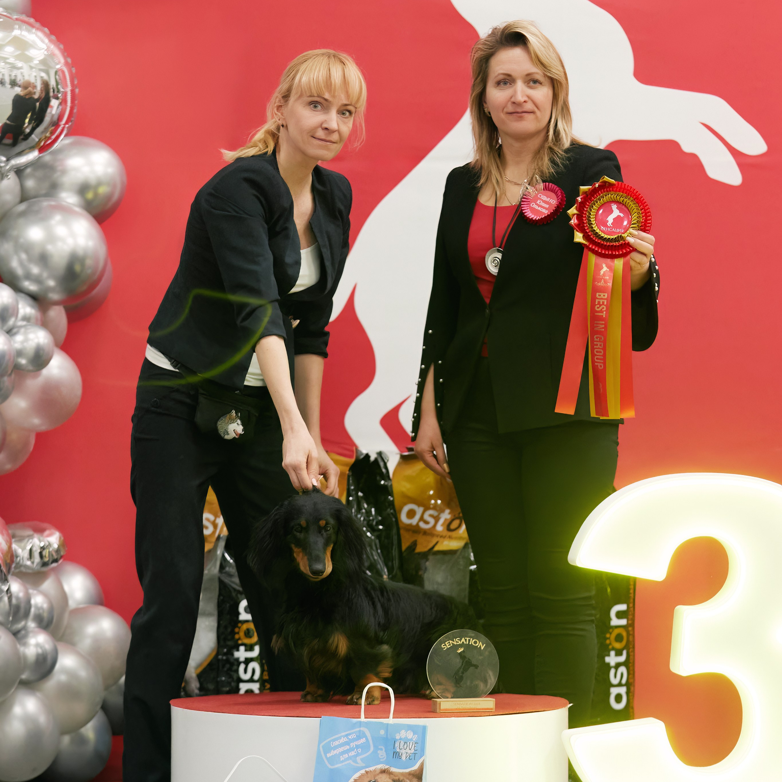 10-11.02.2024 ВЫСТАВКА СОБАК ВСЕХ ПОРОД (САС, ЧФ). Кинологический клуб РКФ РФСС СЕНСАЦИЯ