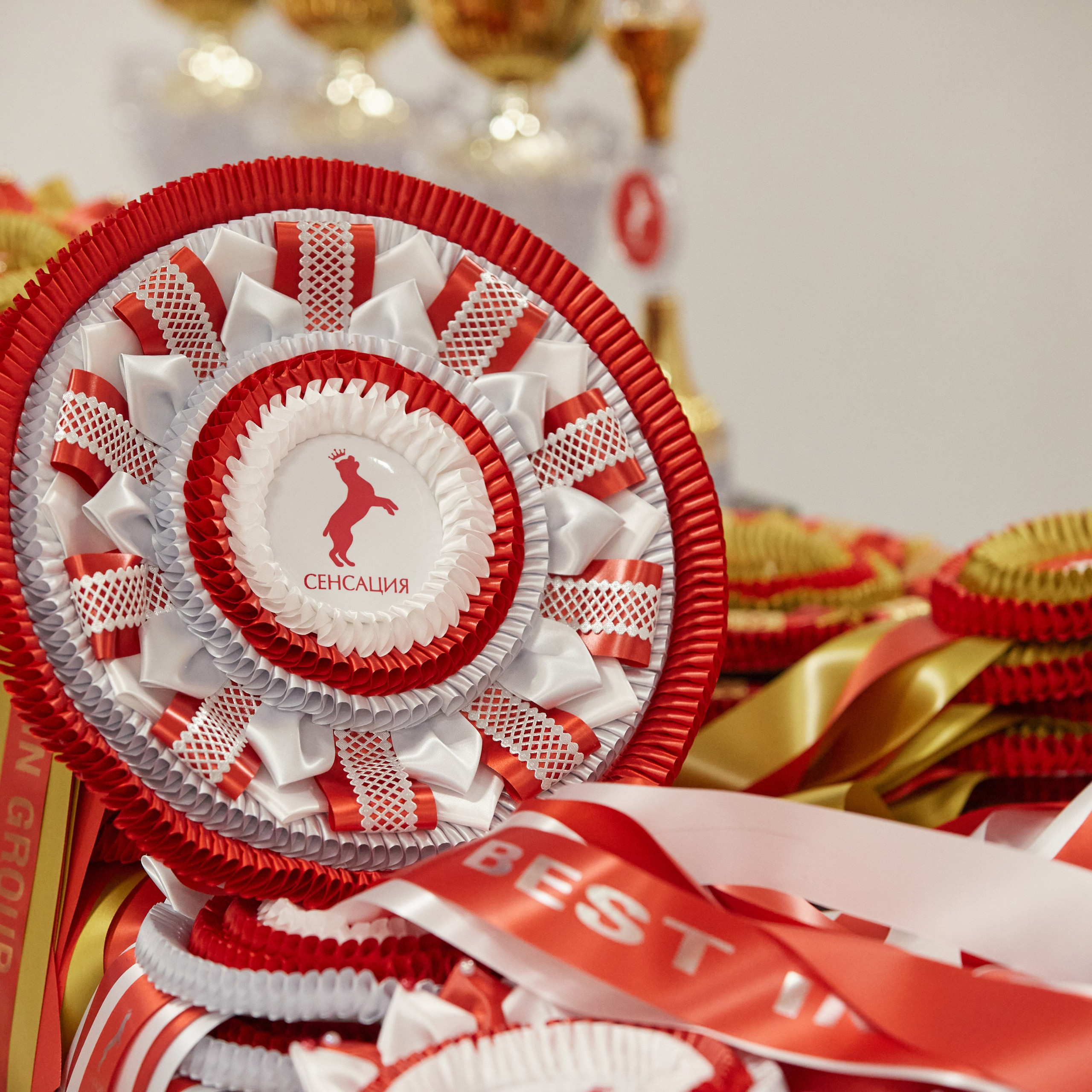 10-11.02.2024 ВЫСТАВКА СОБАК ВСЕХ ПОРОД (САС, ЧФ). Кинологический клуб РКФ РФСС СЕНСАЦИЯ