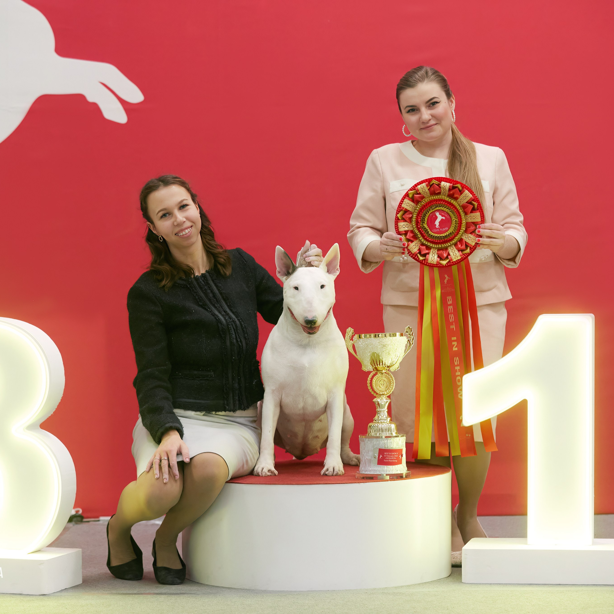 10-11.02.2024 ВЫСТАВКА СОБАК ВСЕХ ПОРОД (САС, ЧФ). Кинологический клуб РКФ РФСС СЕНСАЦИЯ