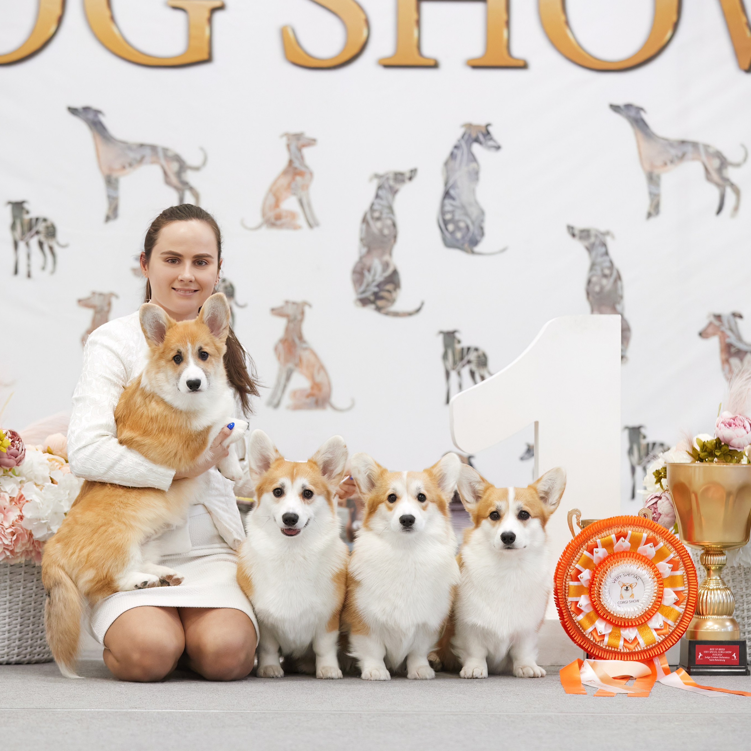 10-11.02.2024 ВЫСТАВКА СОБАК ВСЕХ ПОРОД (САС, ЧФ). Кинологический клуб РКФ РФСС СЕНСАЦИЯ