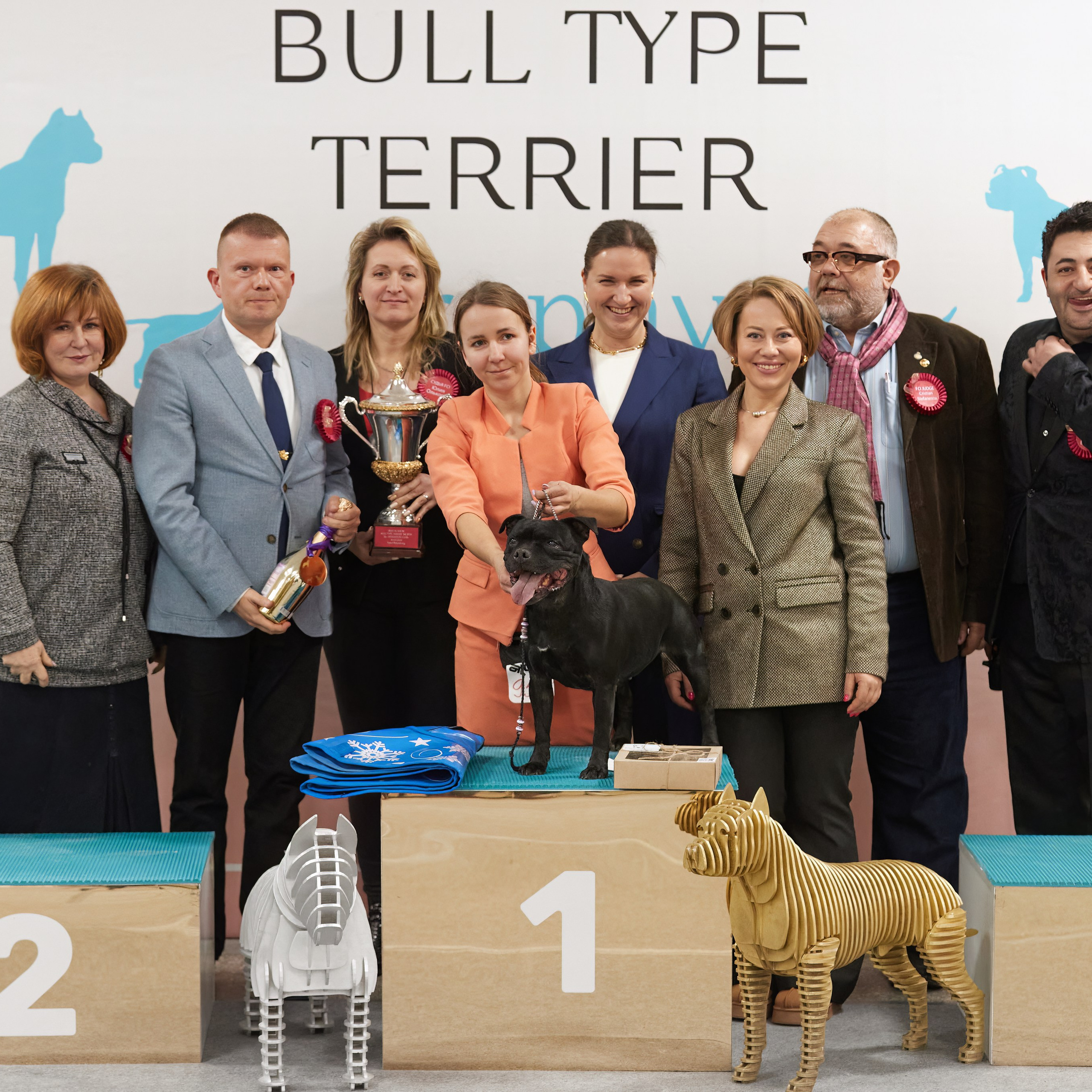 10-11.02.2024 ВЫСТАВКА СОБАК ВСЕХ ПОРОД (САС, ЧФ). Кинологический клуб РКФ РФСС СЕНСАЦИЯ