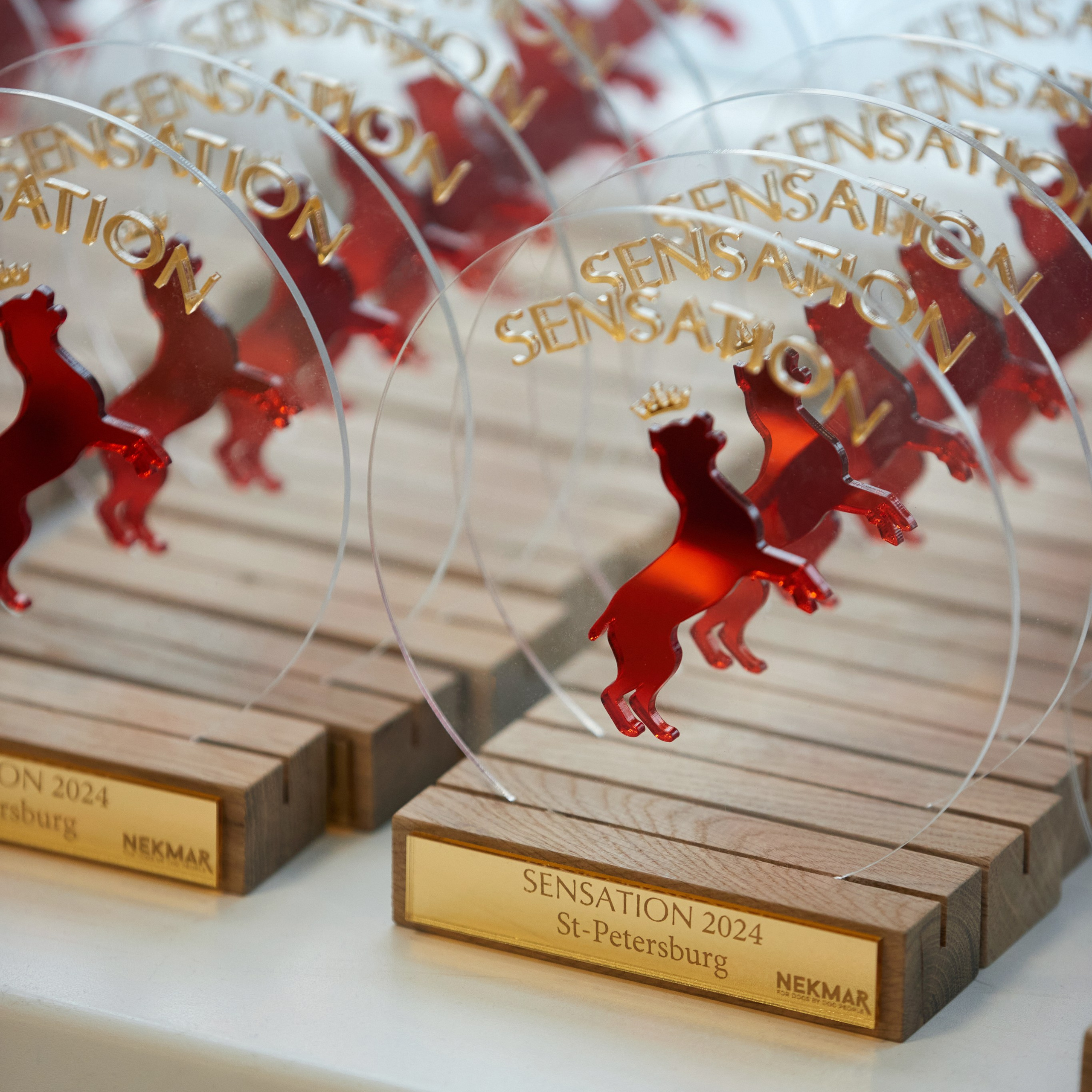 10-11.02.2024 ВЫСТАВКА СОБАК ВСЕХ ПОРОД (САС, ЧФ). Кинологический клуб РКФ РФСС СЕНСАЦИЯ