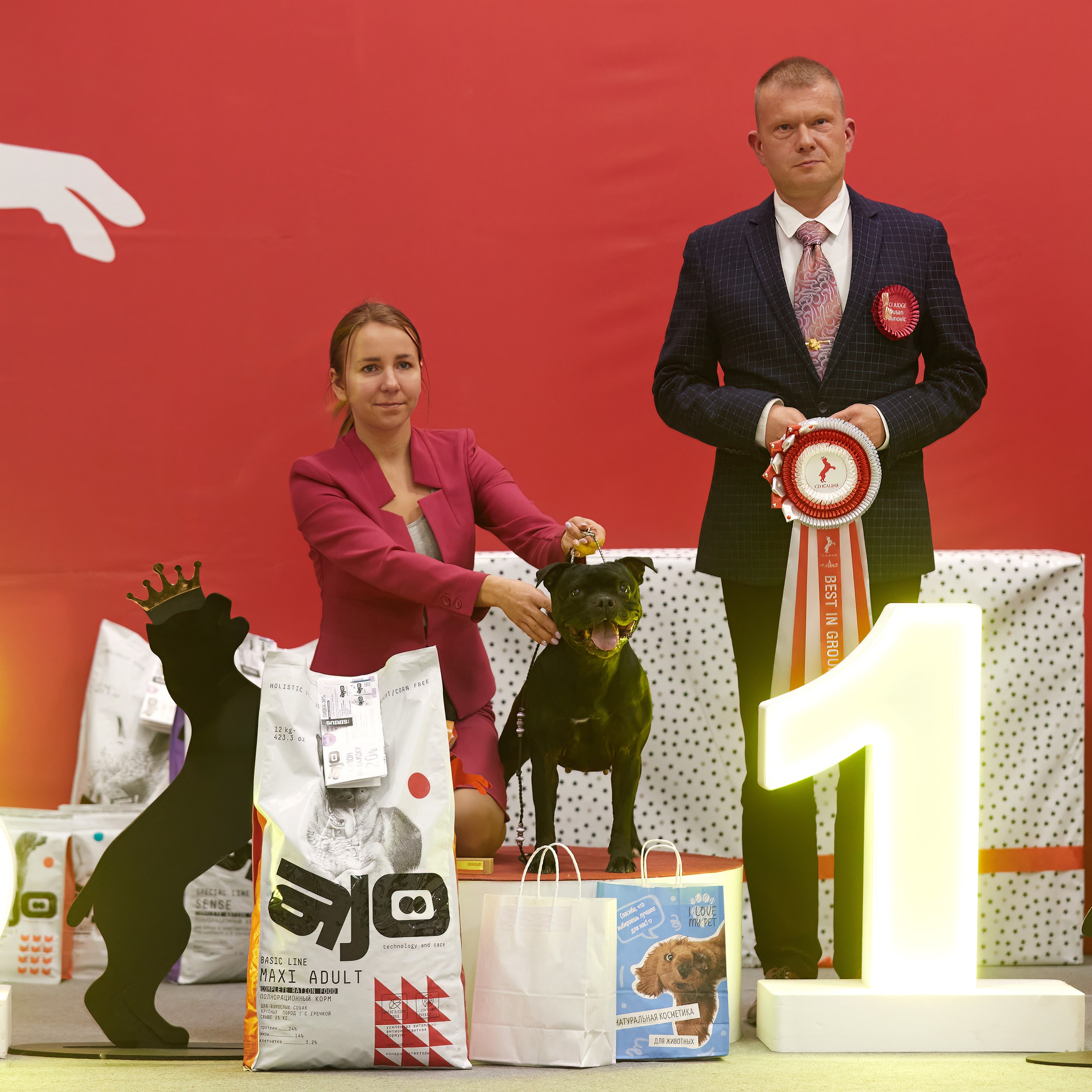 10-11.02.2024 ВЫСТАВКА СОБАК ВСЕХ ПОРОД (САС, ЧФ). Кинологический клуб РКФ РФСС СЕНСАЦИЯ