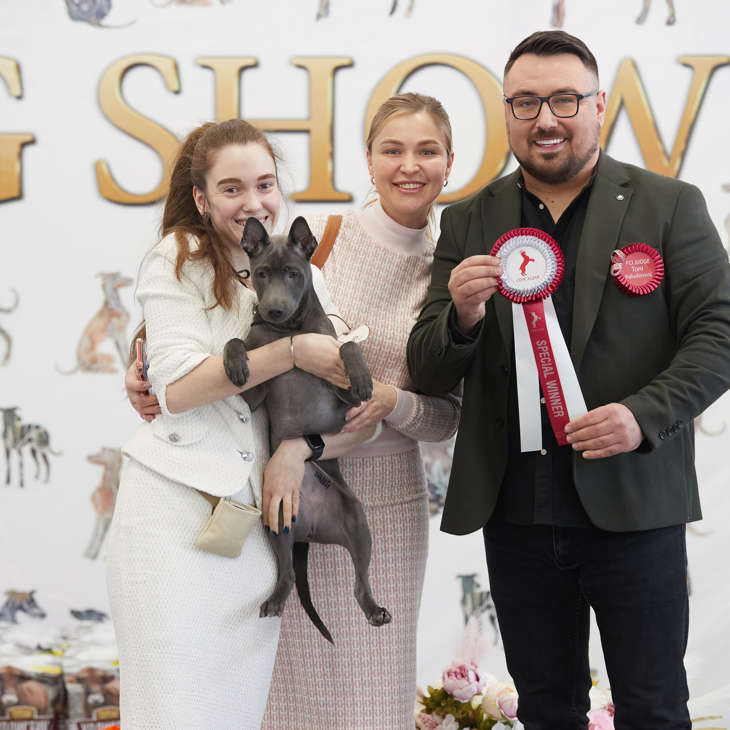 10-11.02.2024 ВЫСТАВКА СОБАК ВСЕХ ПОРОД (САС, ЧФ). Кинологический клуб РКФ РФСС СЕНСАЦИЯ