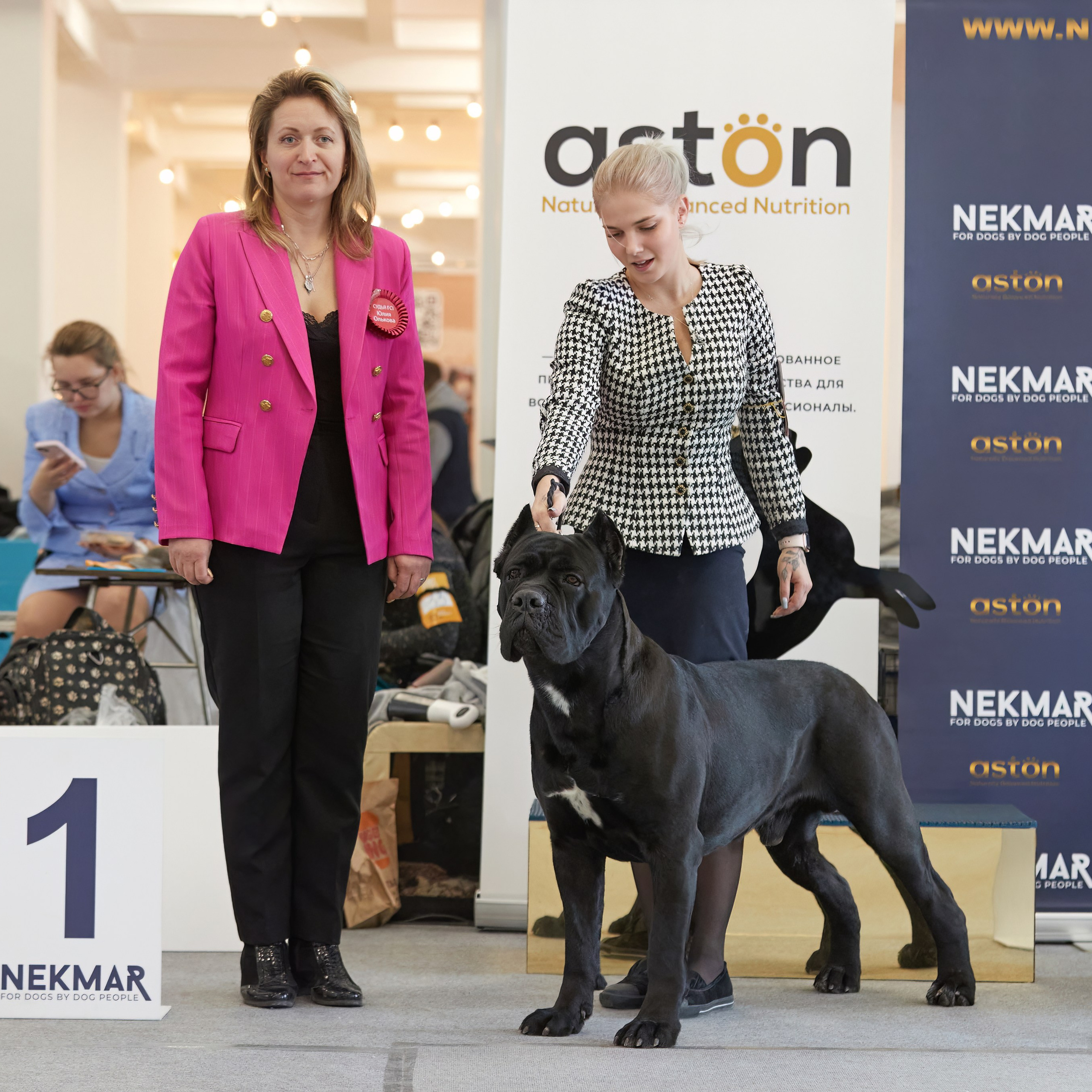 10-11.02.2024 ВЫСТАВКА СОБАК ВСЕХ ПОРОД (САС, ЧФ). Кинологический клуб РКФ РФСС СЕНСАЦИЯ