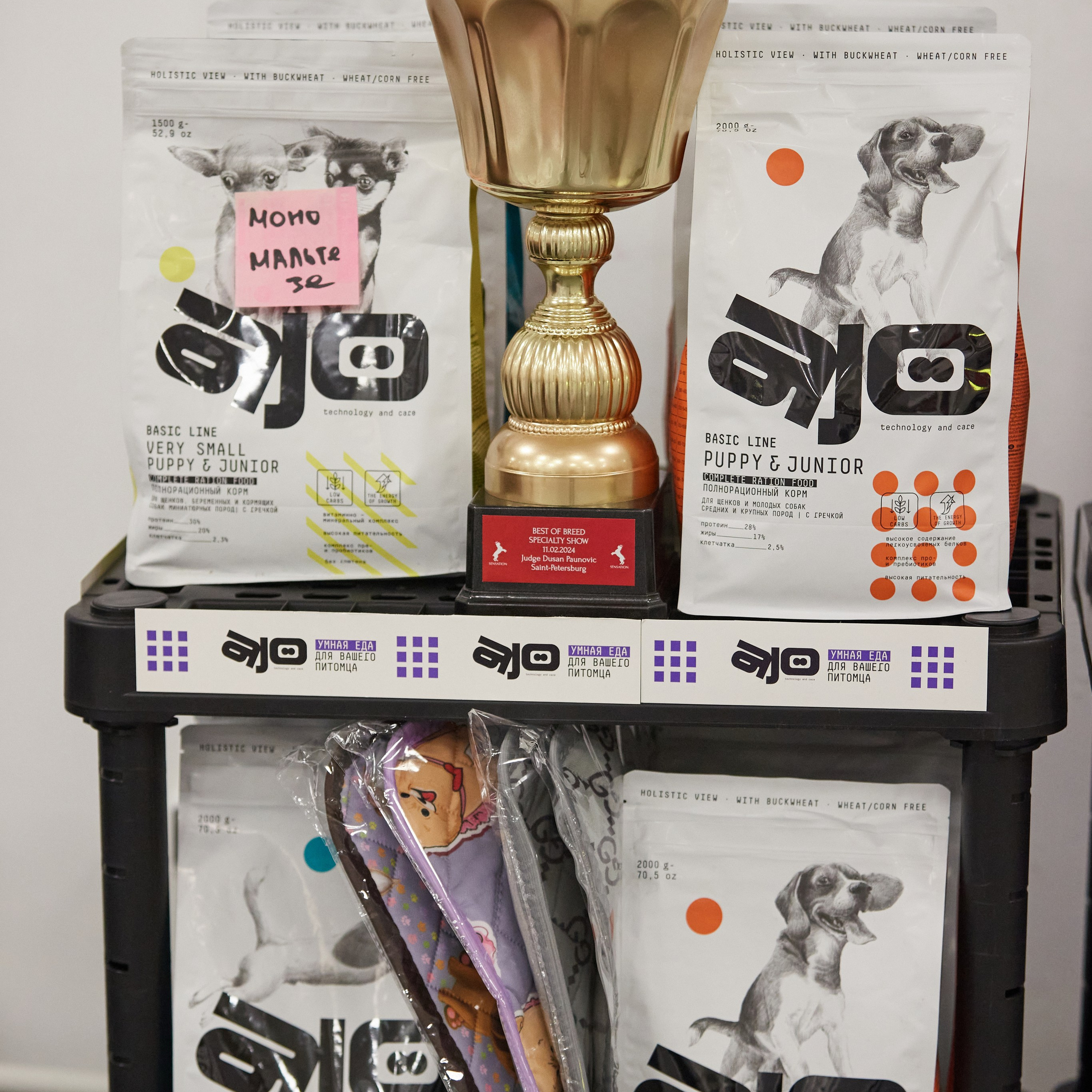 10-11.02.2024 ВЫСТАВКА СОБАК ВСЕХ ПОРОД (САС, ЧФ). Кинологический клуб РКФ РФСС СЕНСАЦИЯ