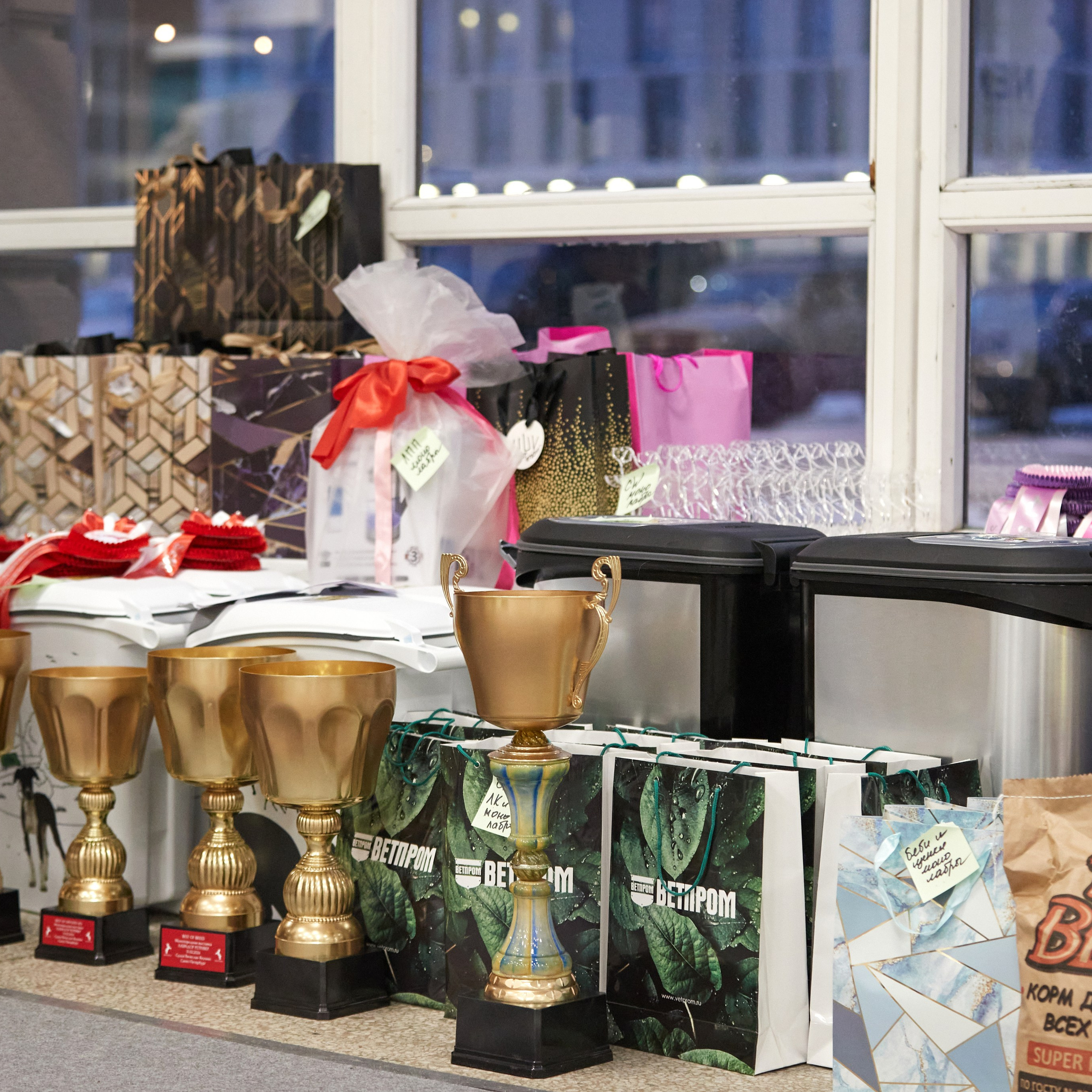 10-11.02.2024 ВЫСТАВКА СОБАК ВСЕХ ПОРОД (САС, ЧФ). Кинологический клуб РКФ РФСС СЕНСАЦИЯ