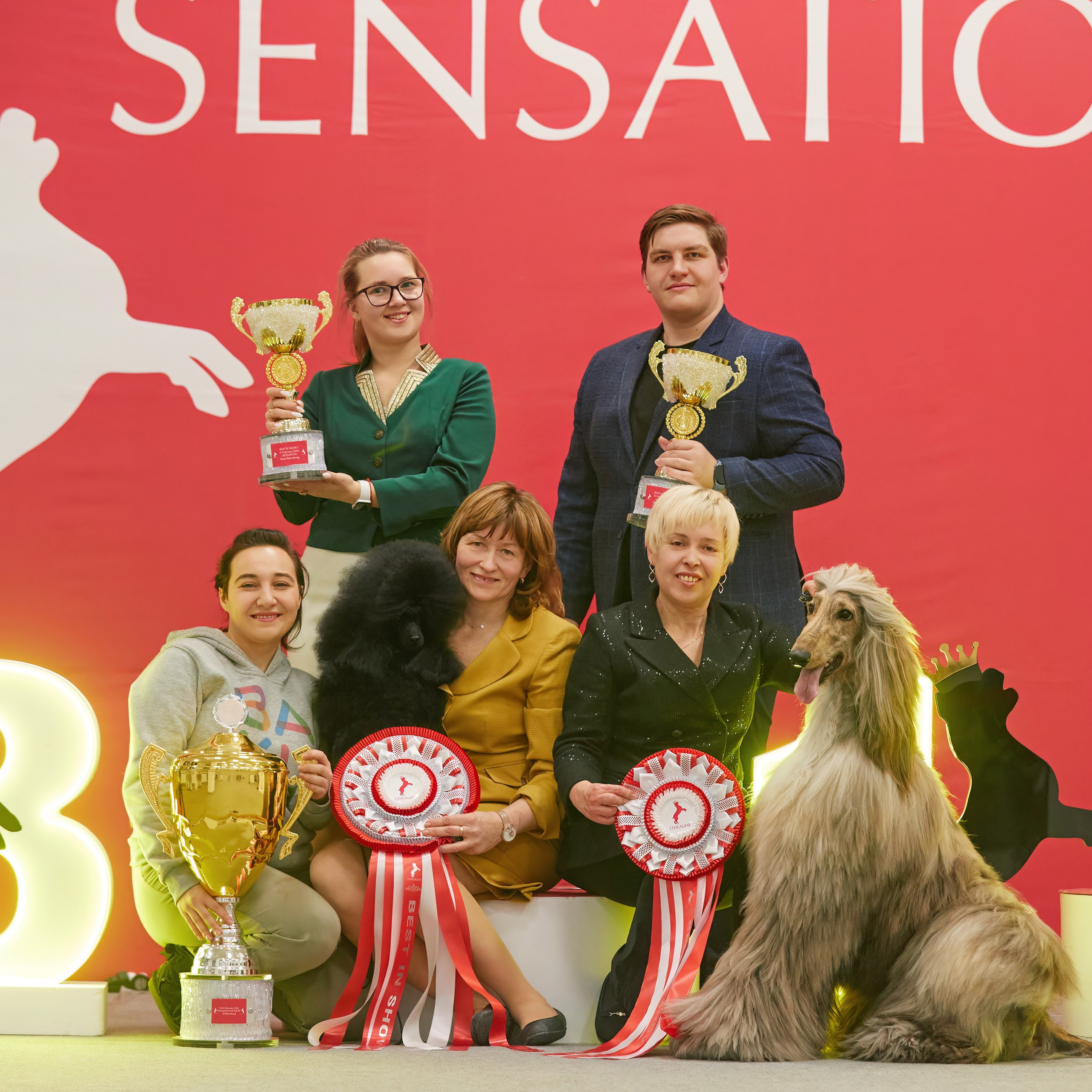 10-11.02.2024 ВЫСТАВКА СОБАК ВСЕХ ПОРОД (САС, ЧФ). Кинологический клуб РКФ РФСС СЕНСАЦИЯ