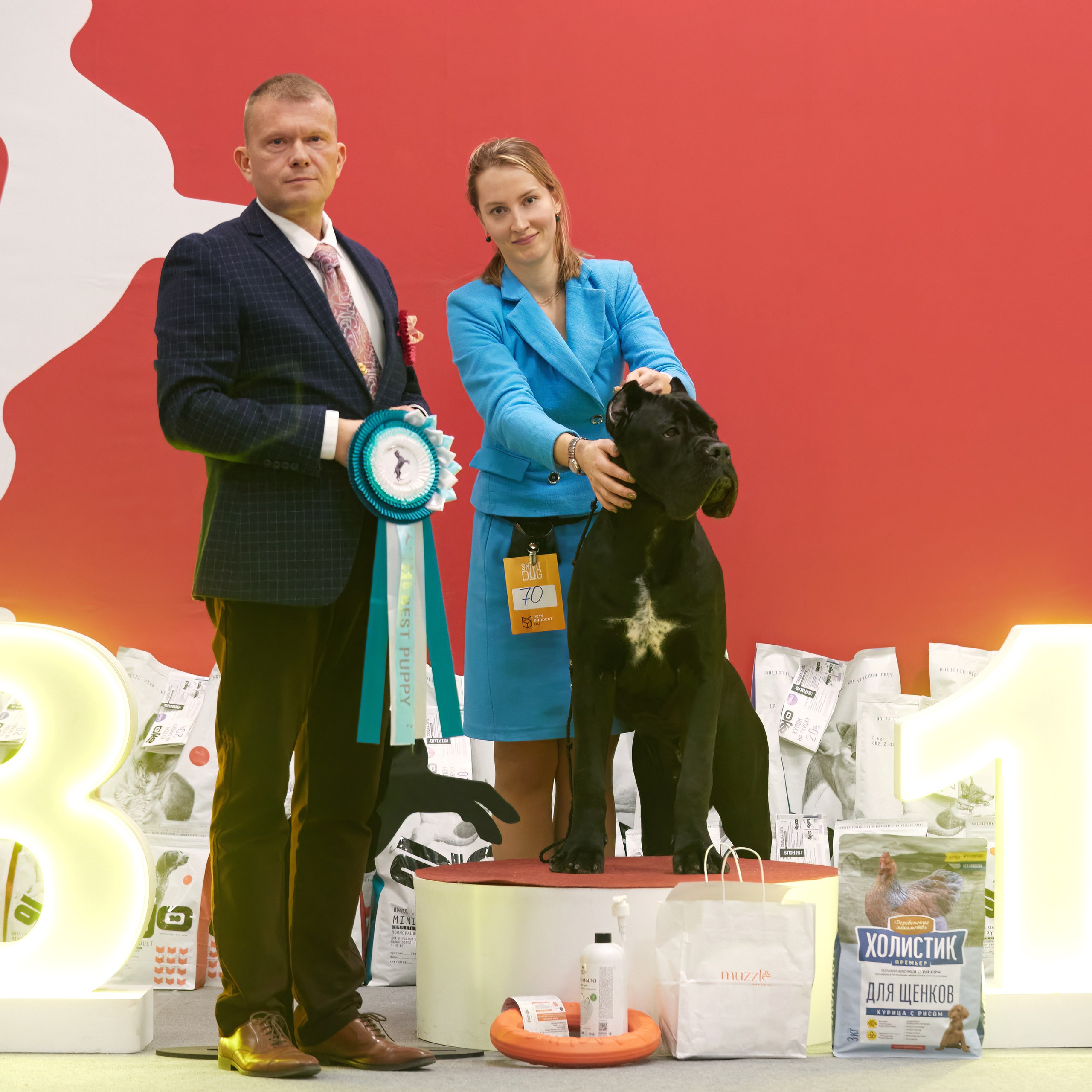 10-11.02.2024 ВЫСТАВКА СОБАК ВСЕХ ПОРОД (САС, ЧФ). Кинологический клуб РКФ РФСС СЕНСАЦИЯ