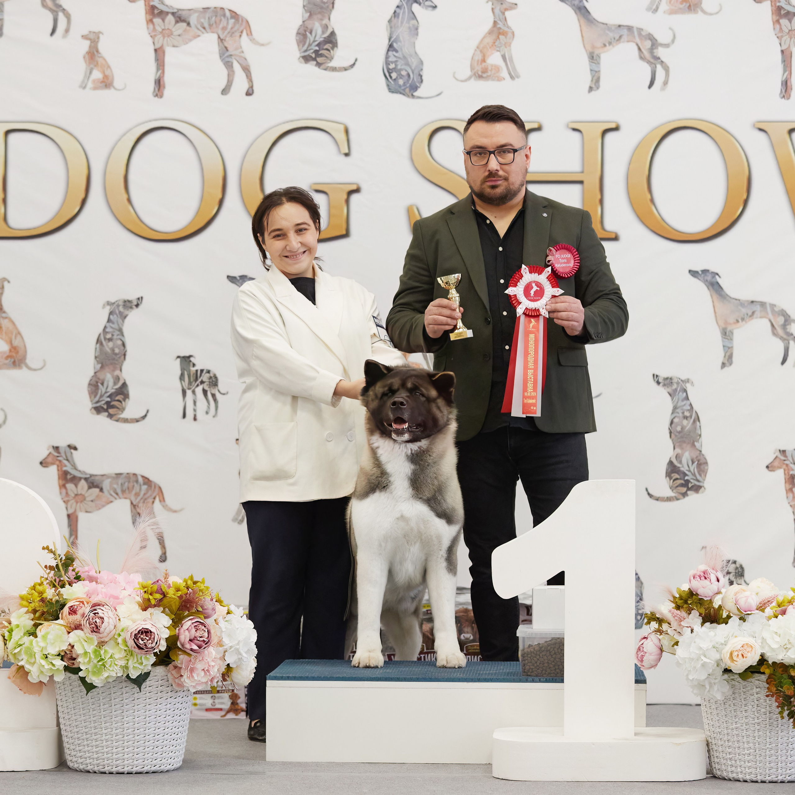 10-11.02.2024 ВЫСТАВКА СОБАК ВСЕХ ПОРОД (САС, ЧФ). Кинологический клуб РКФ РФСС СЕНСАЦИЯ