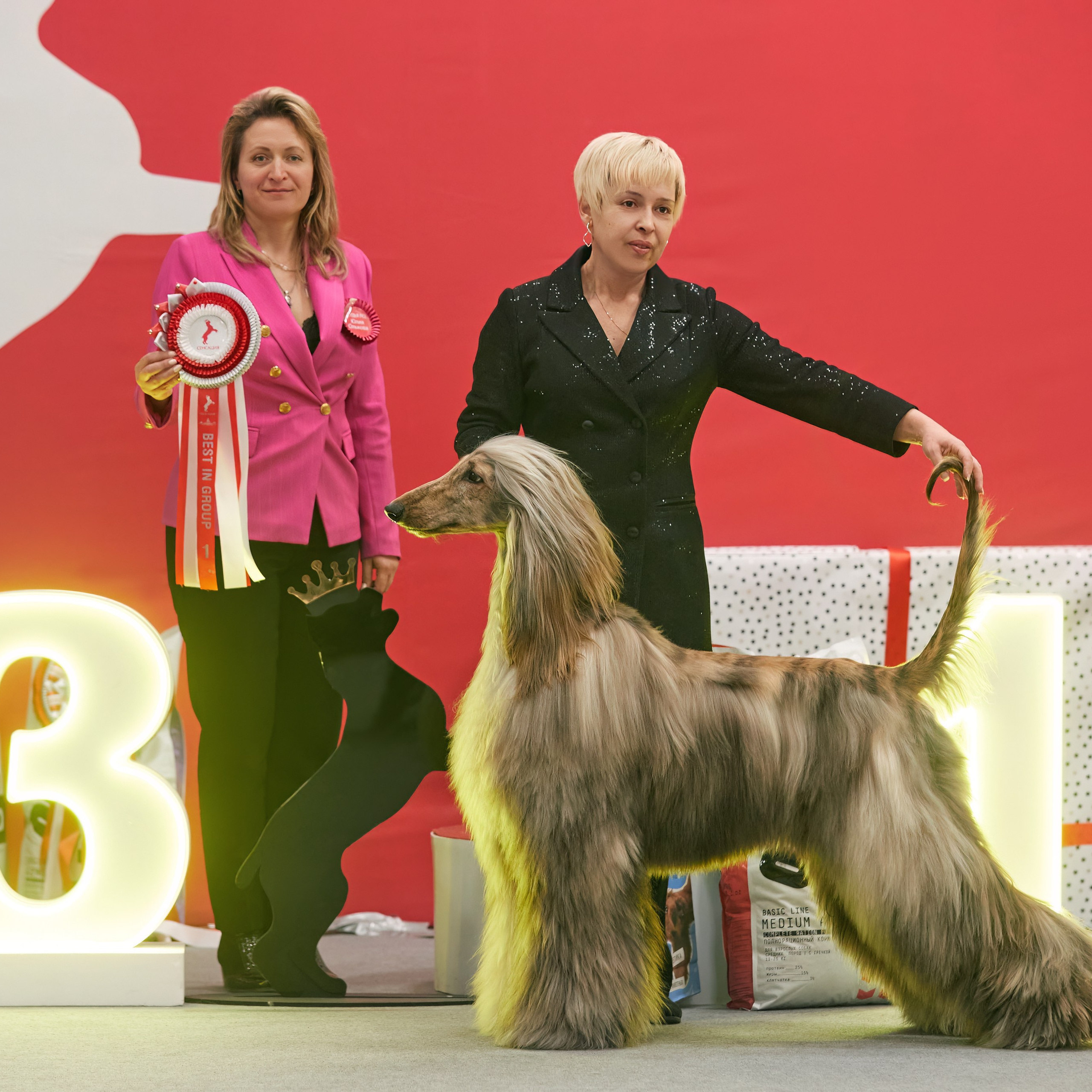 10-11.02.2024 ВЫСТАВКА СОБАК ВСЕХ ПОРОД (САС, ЧФ). Кинологический клуб РКФ РФСС СЕНСАЦИЯ